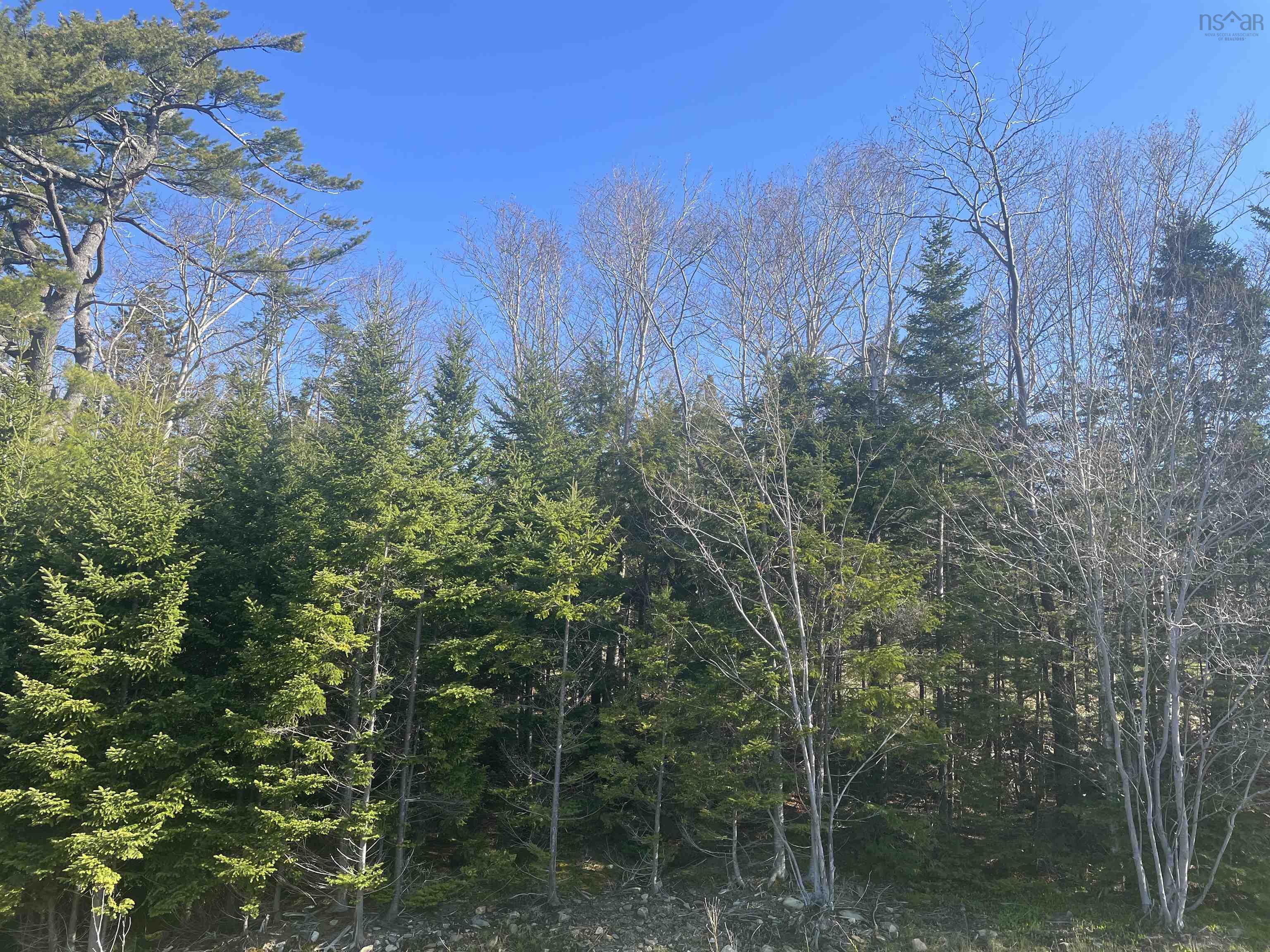 Lot Idy-C West Lawrencetown Road, Lawrencetown NS B2X 1H9 - MLS #202512897