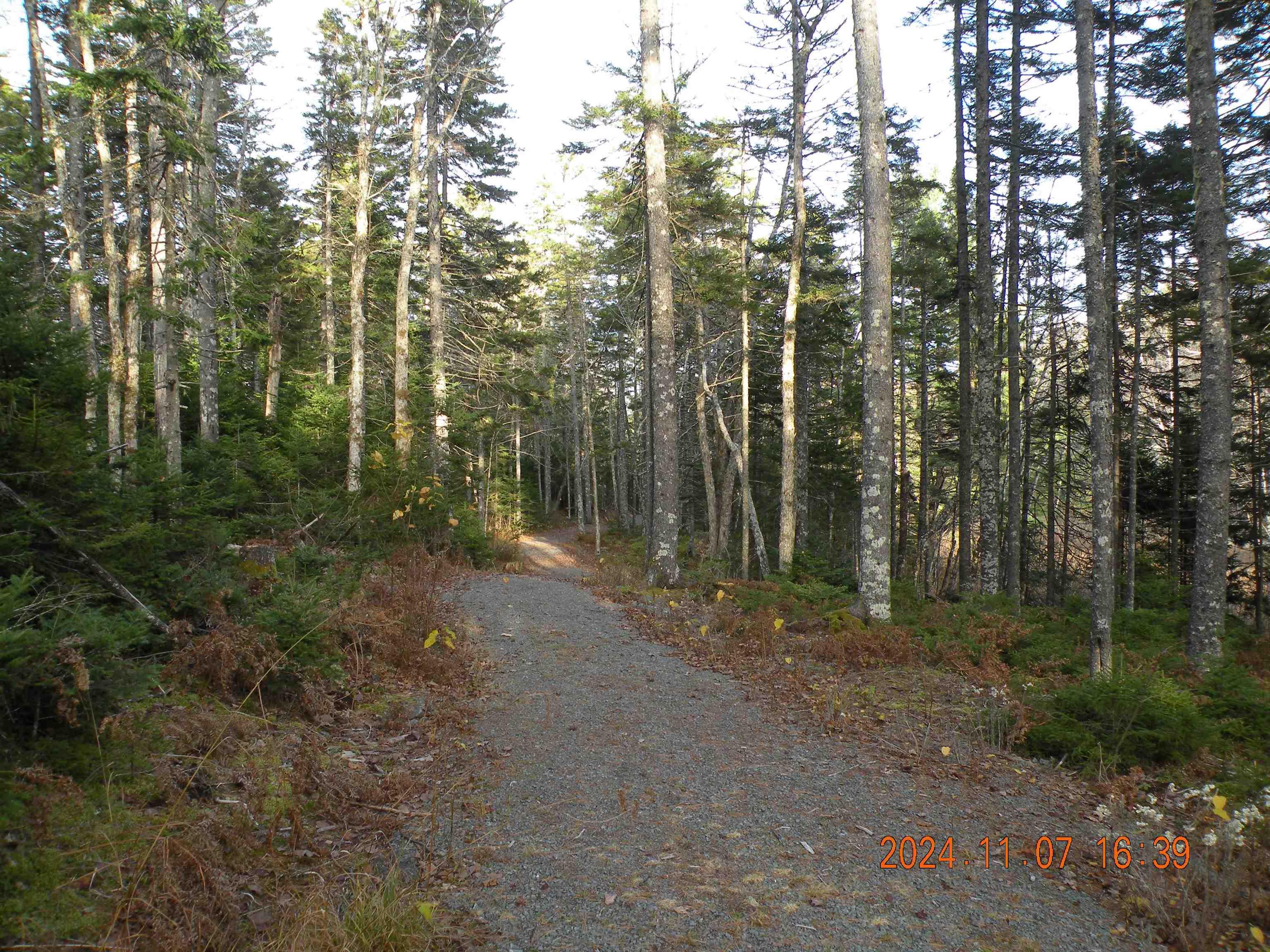 Thumbnail image for 74 Meek Arm Trail MLS<sup>®</sup> 202522302