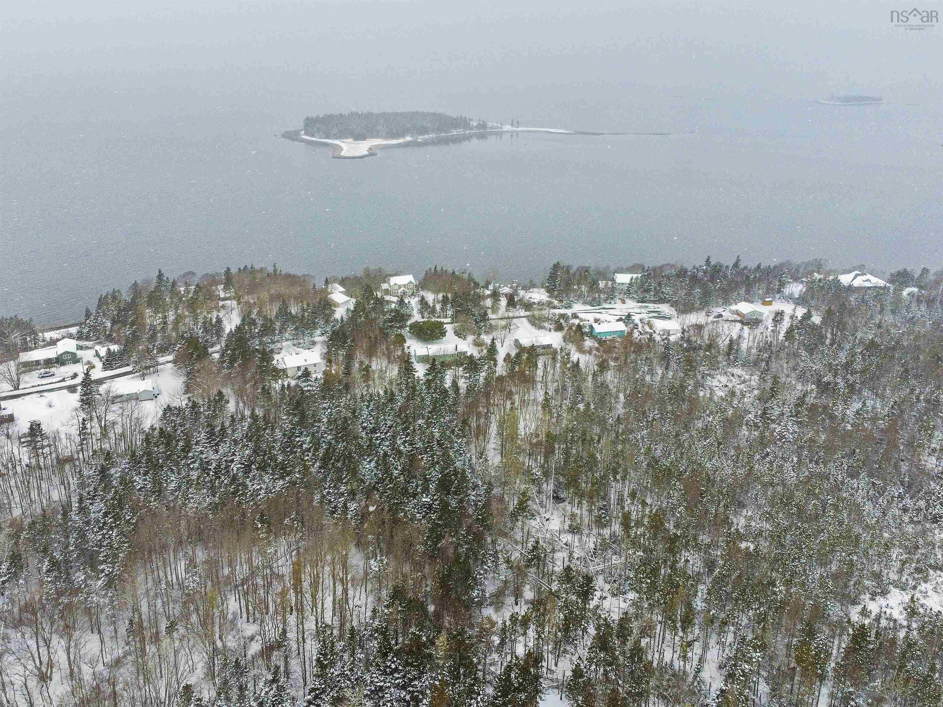 View image 4