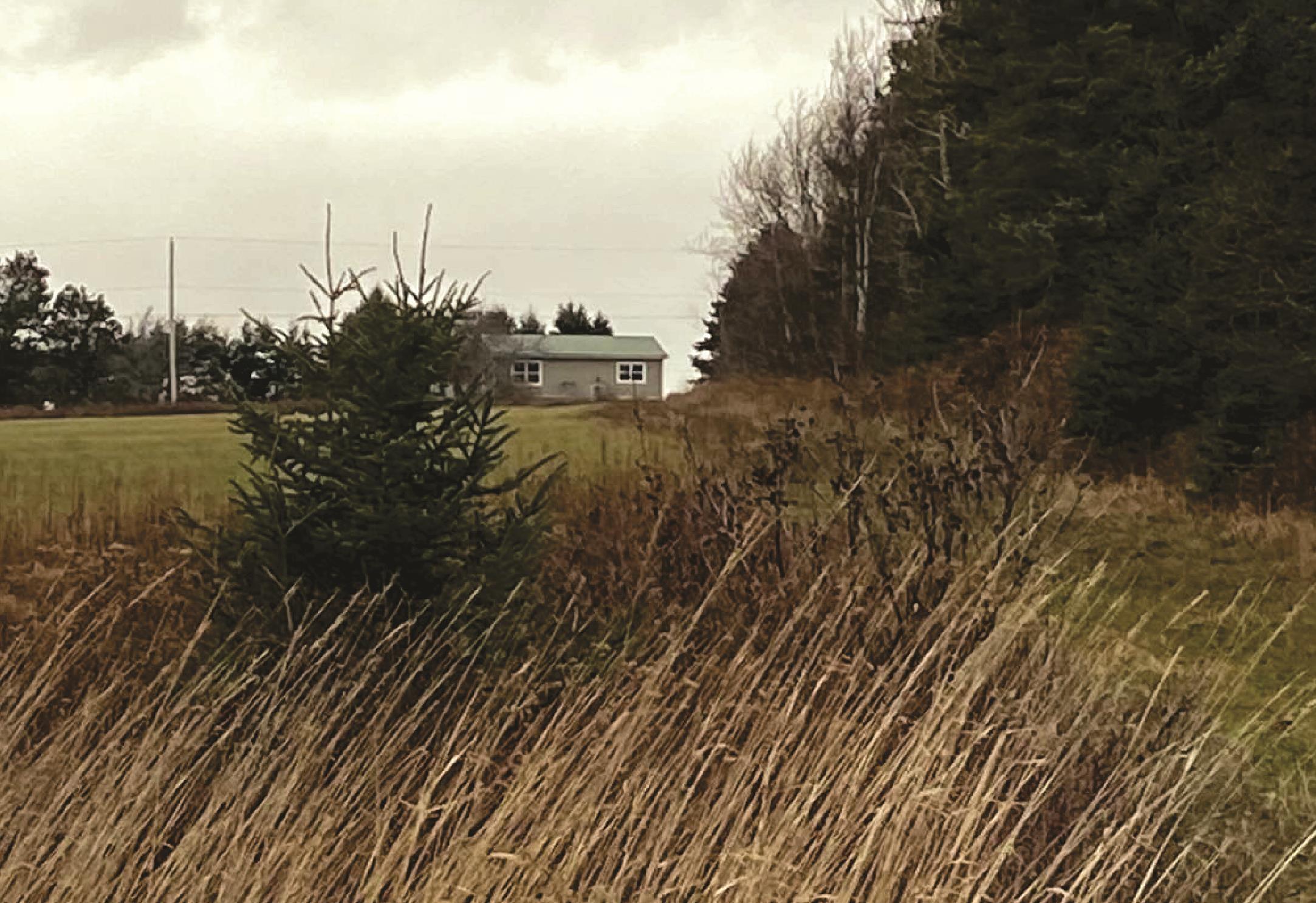 View image 50