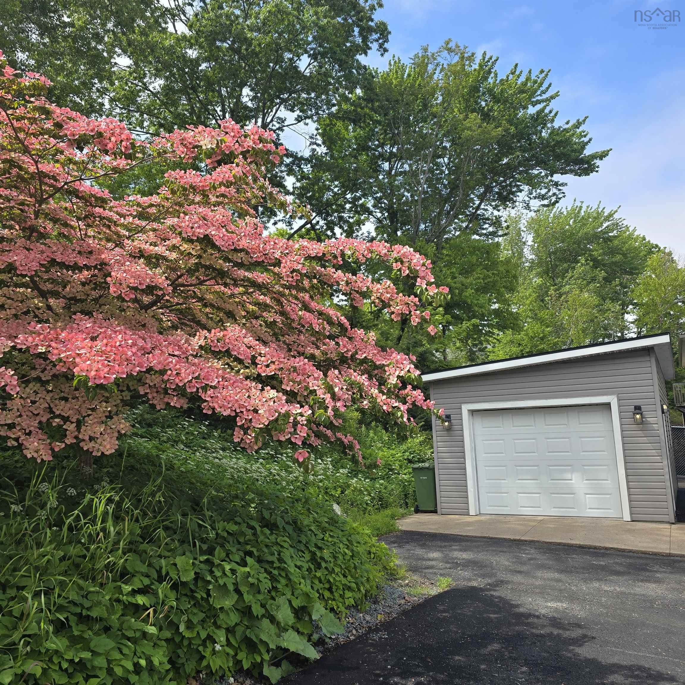 View image 6
