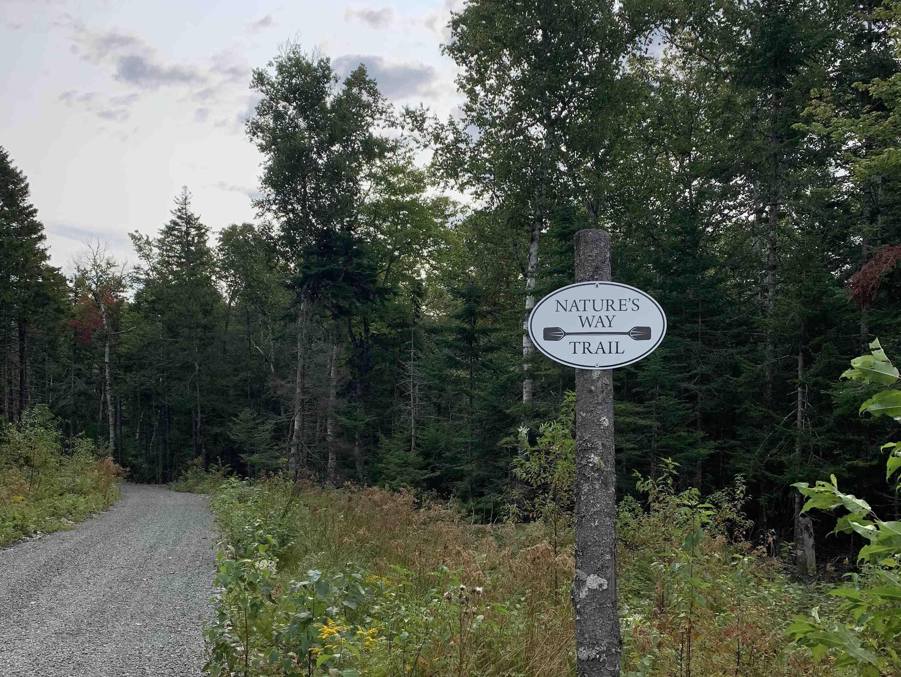 View image 10