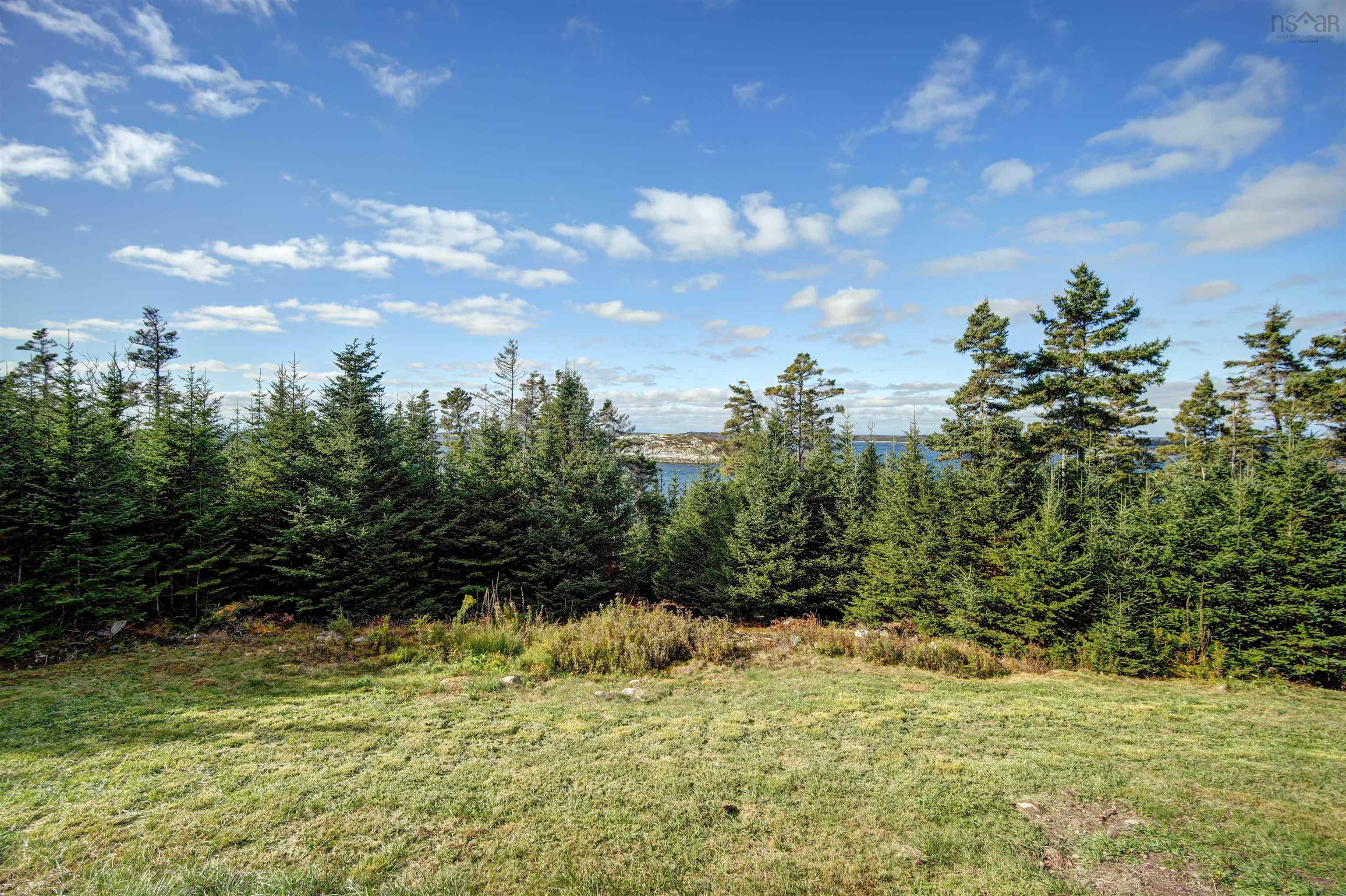 View image 12