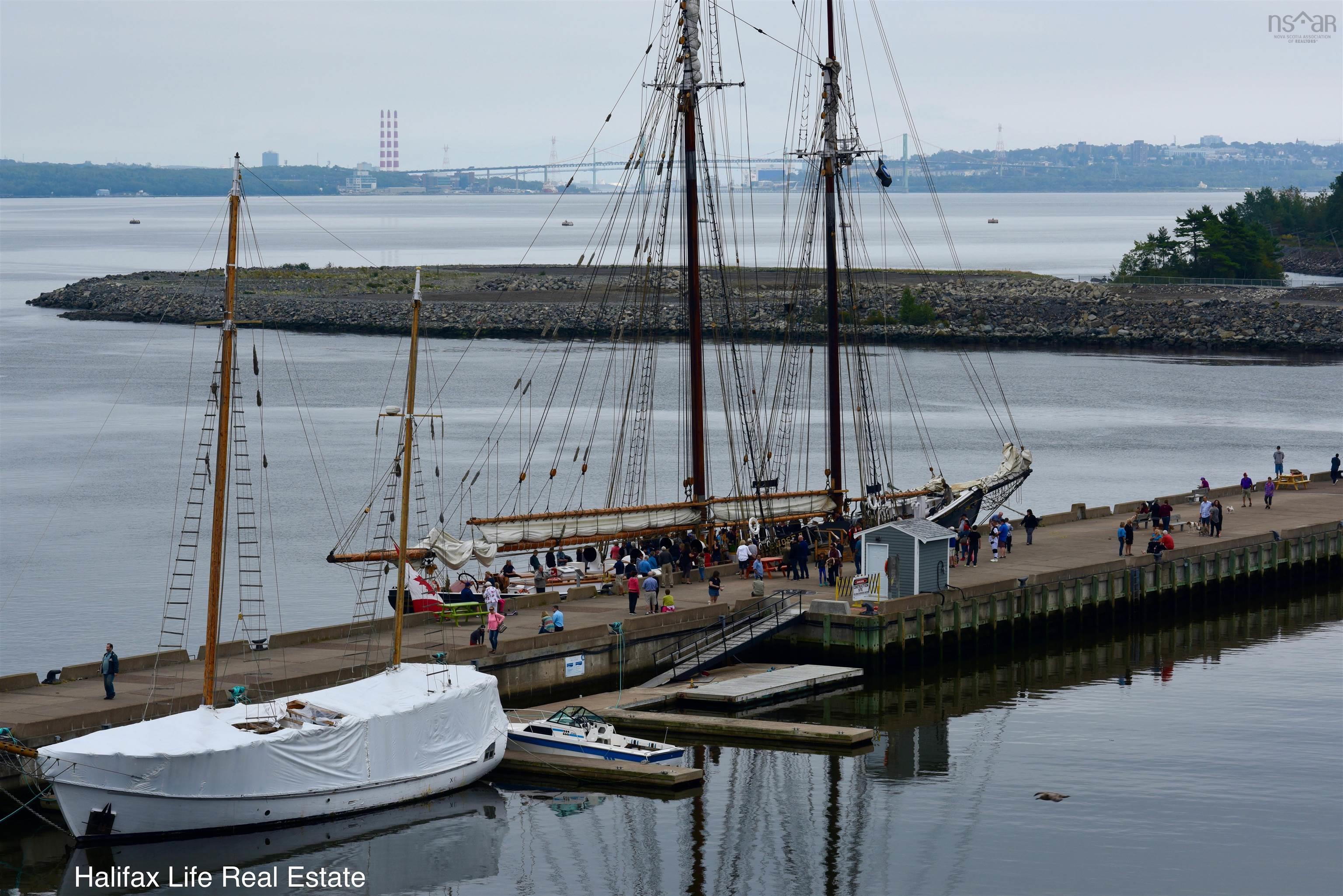 View image 40