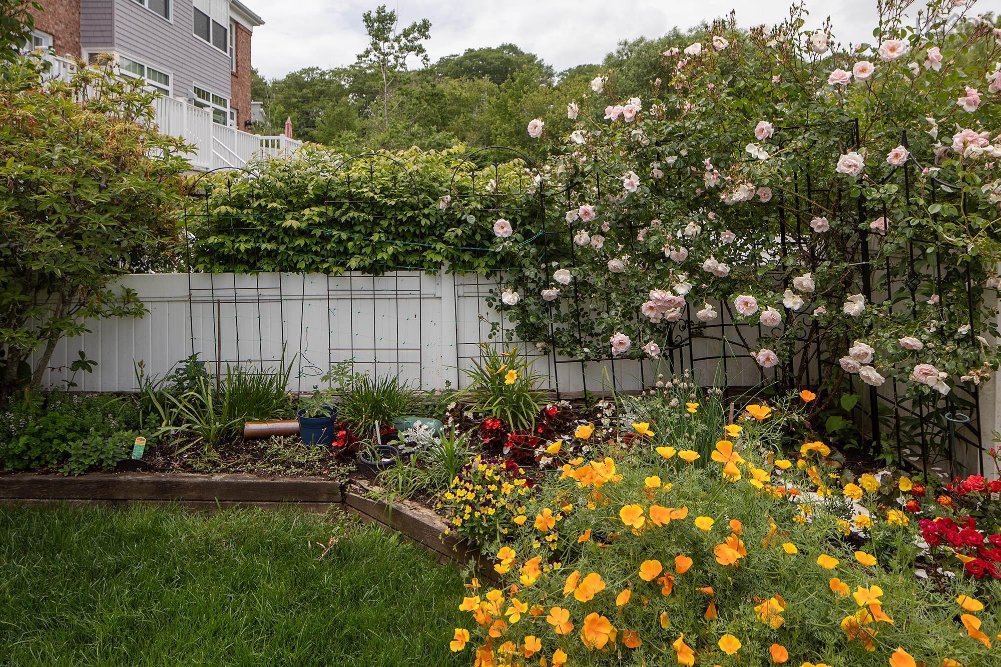 View image 31