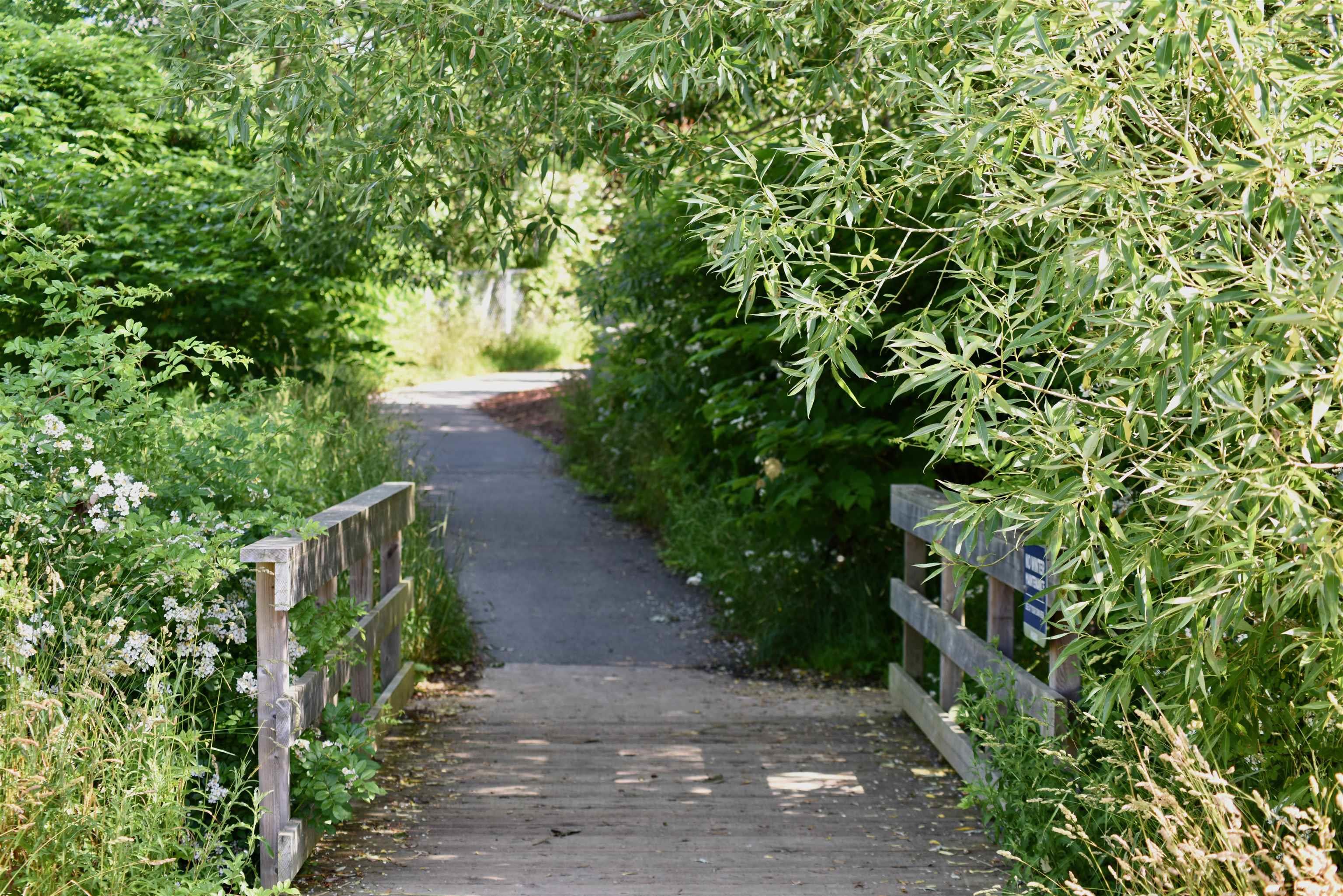 View image 37