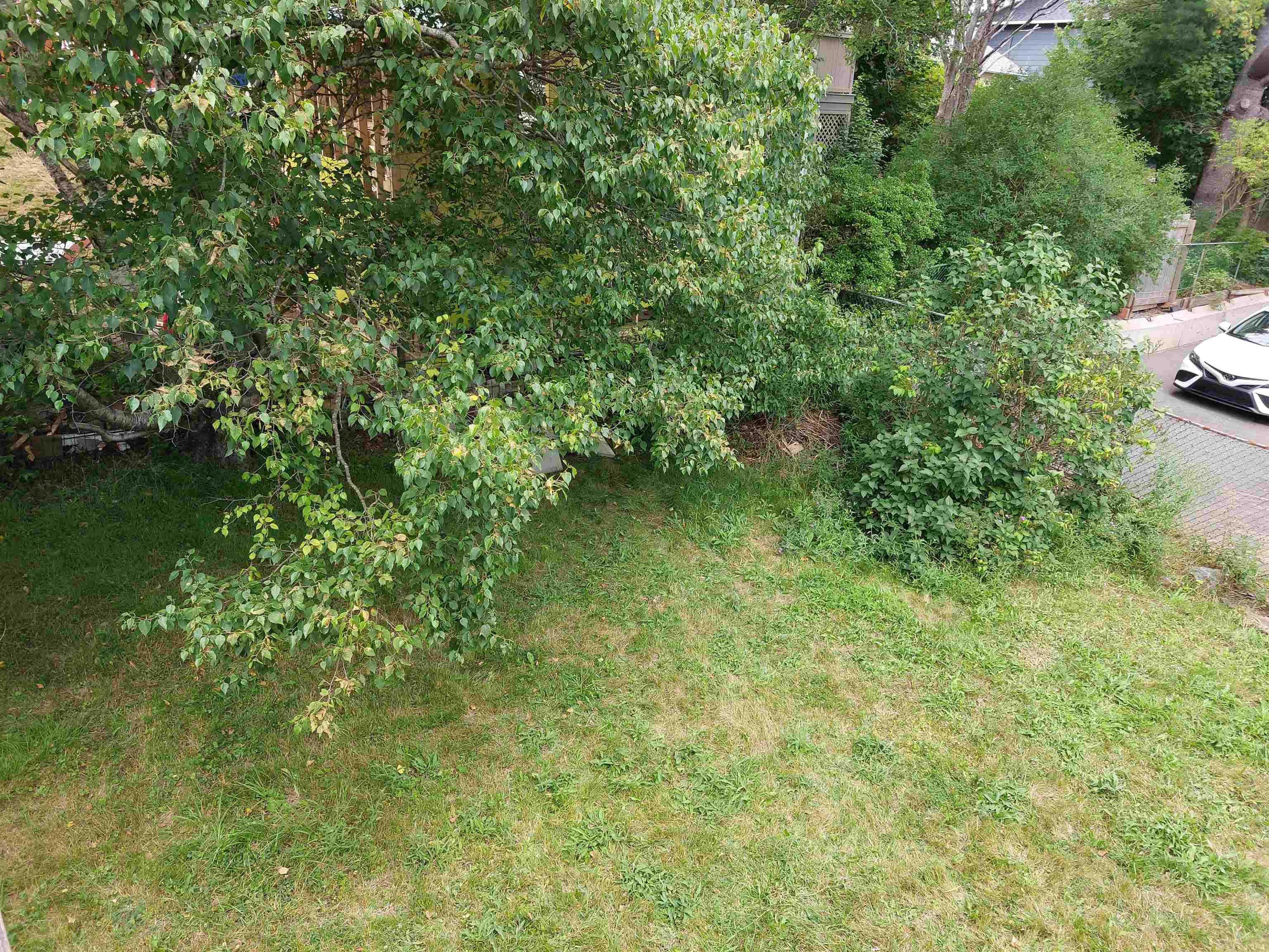 View image 19