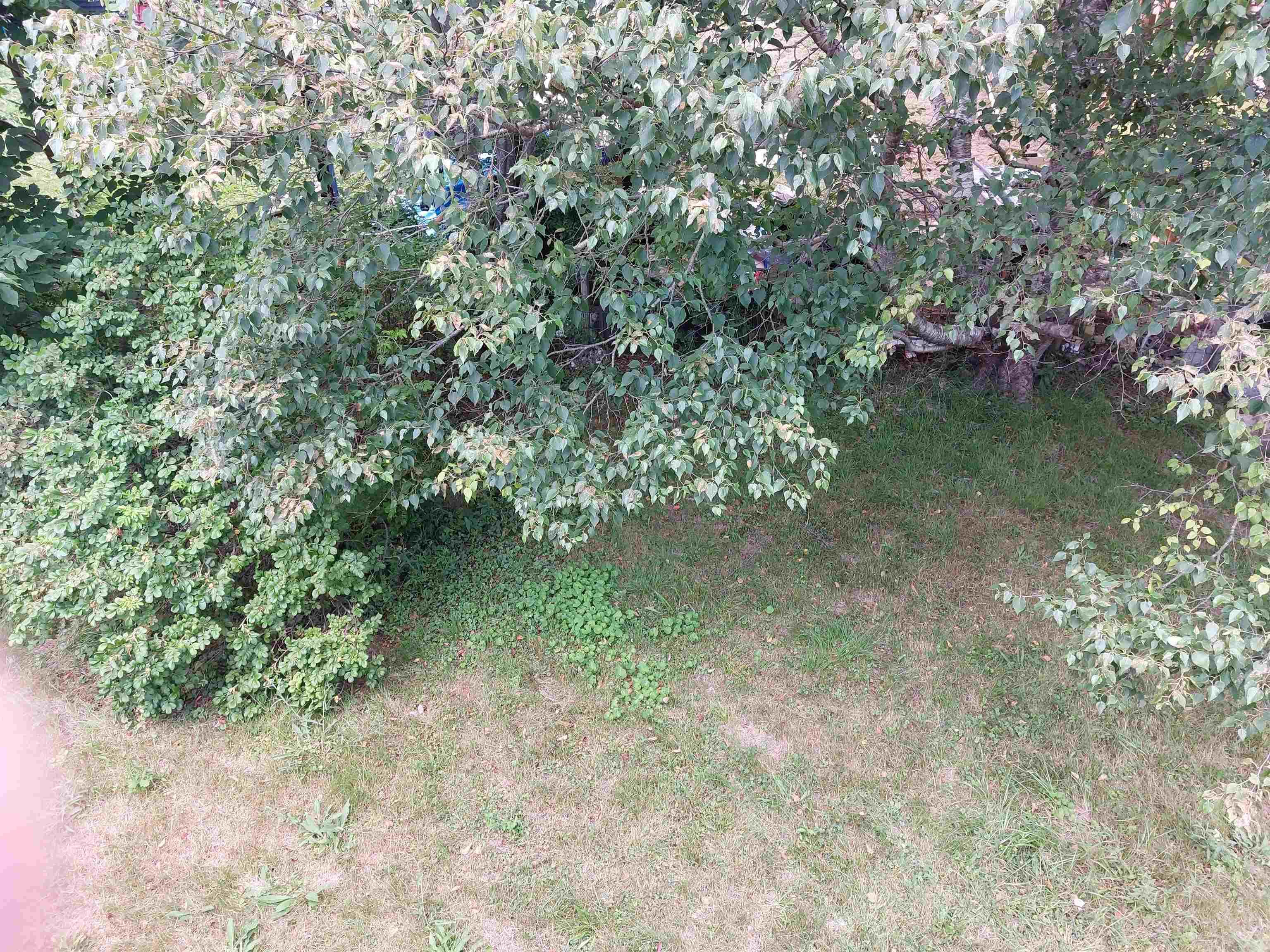 View image 20