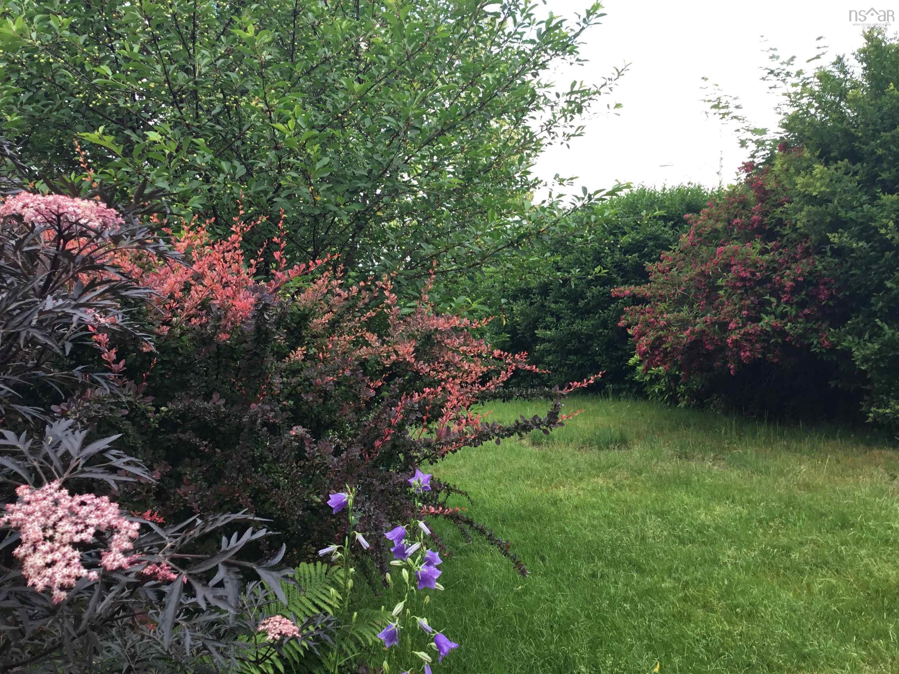 View image 26