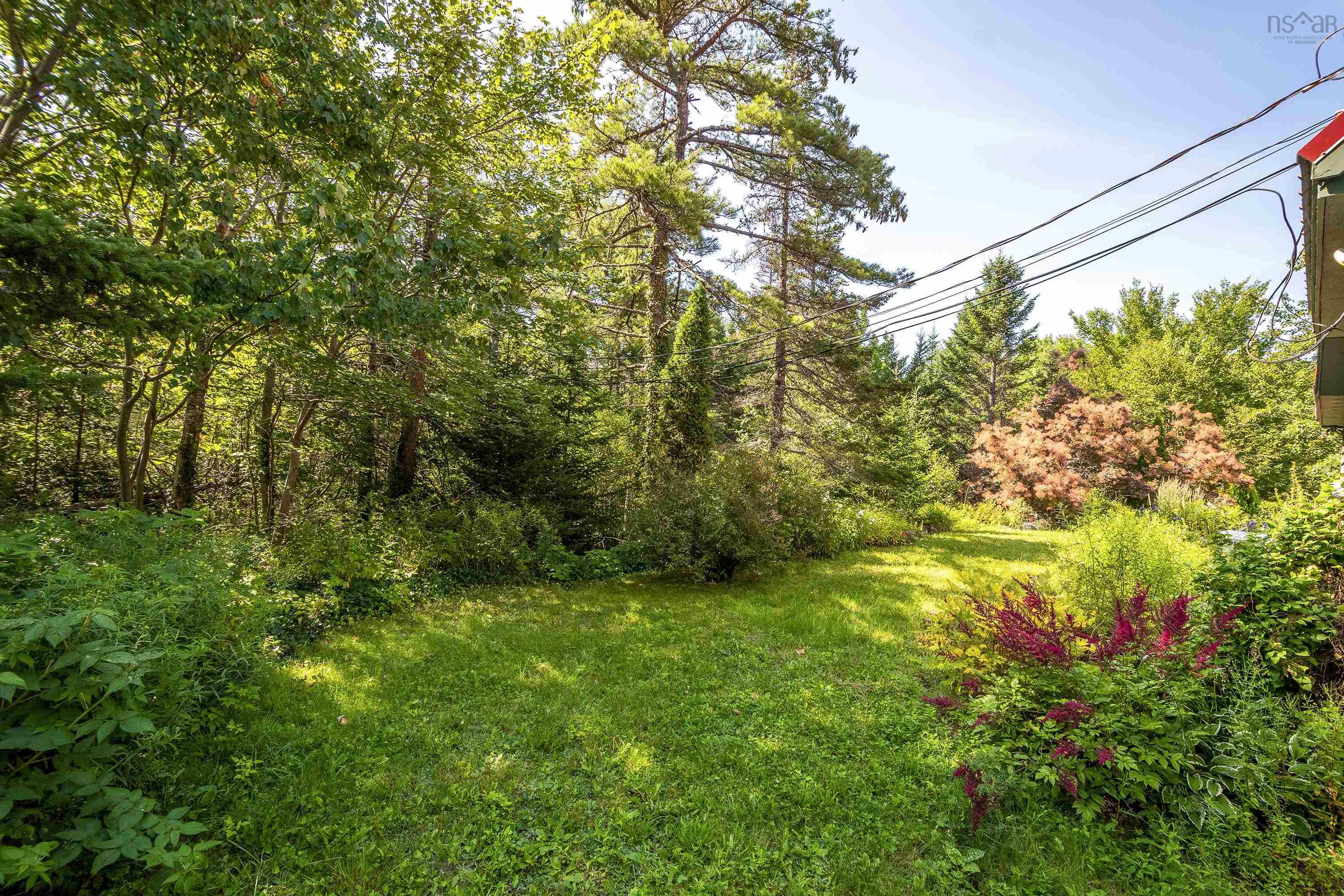 View image 40