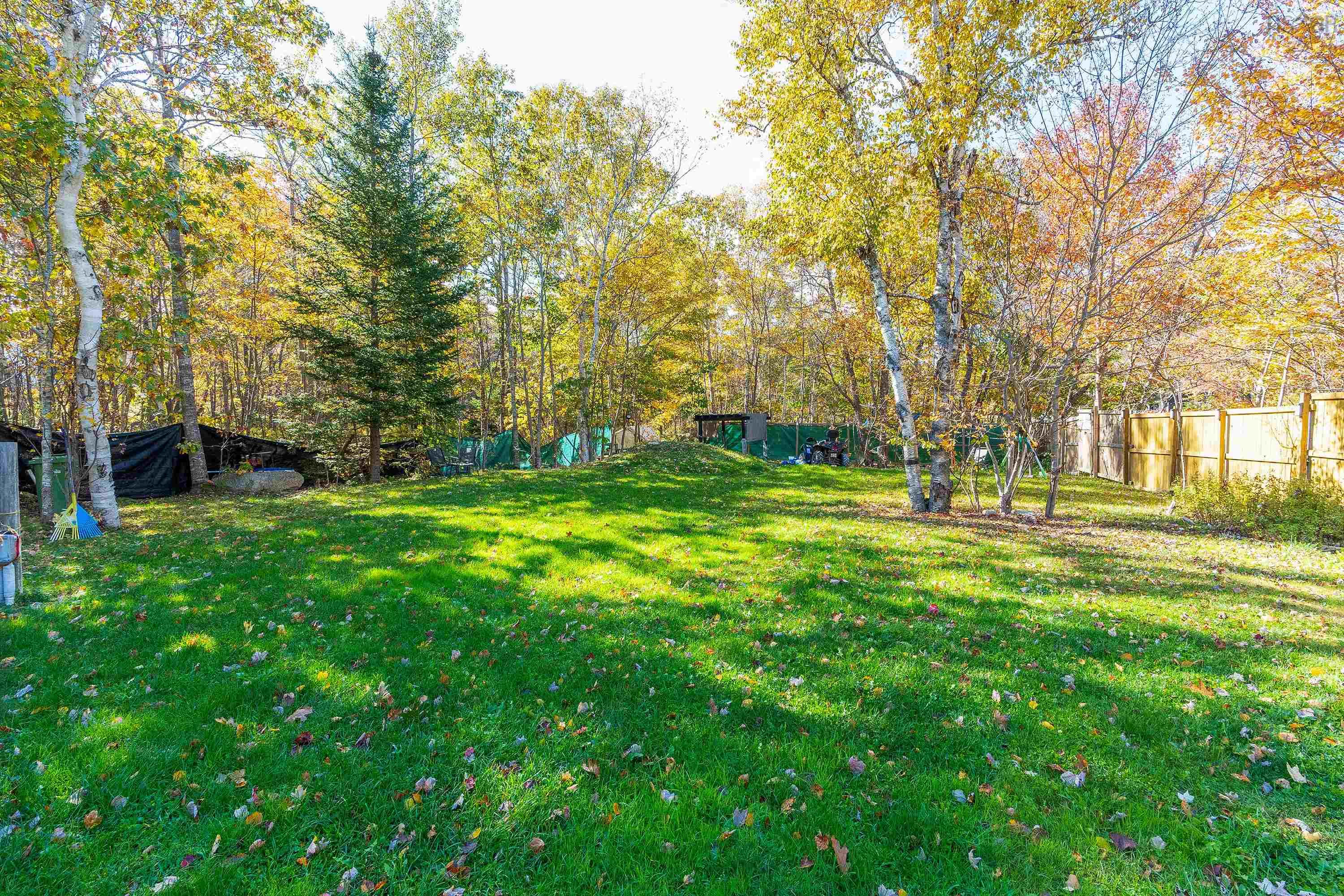 View image 30