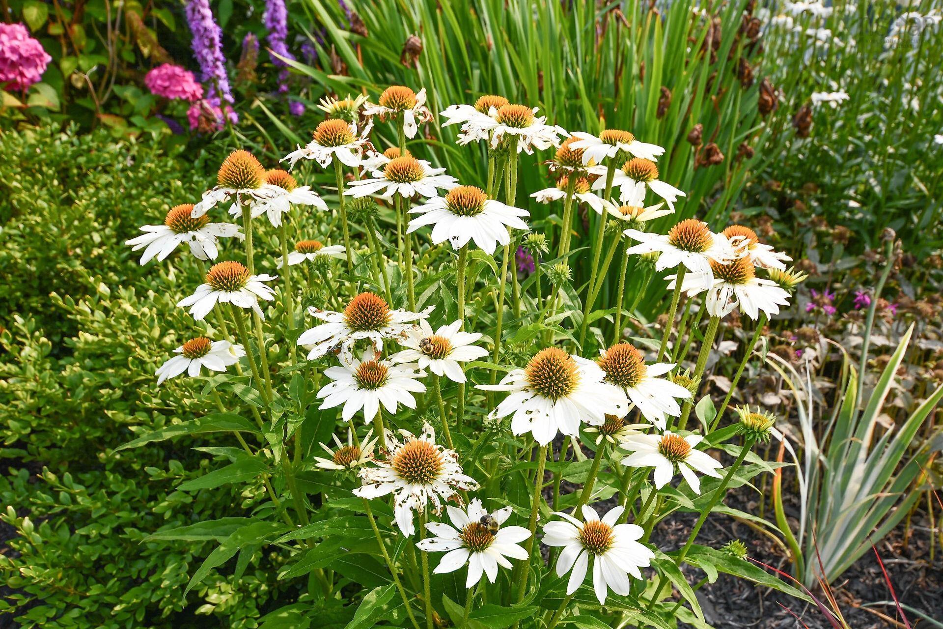 View image 27