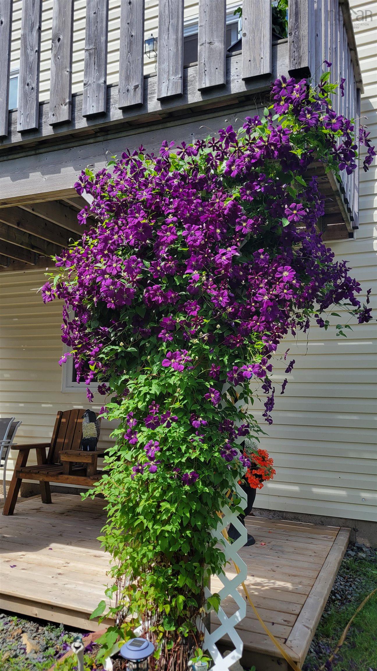 View image 26