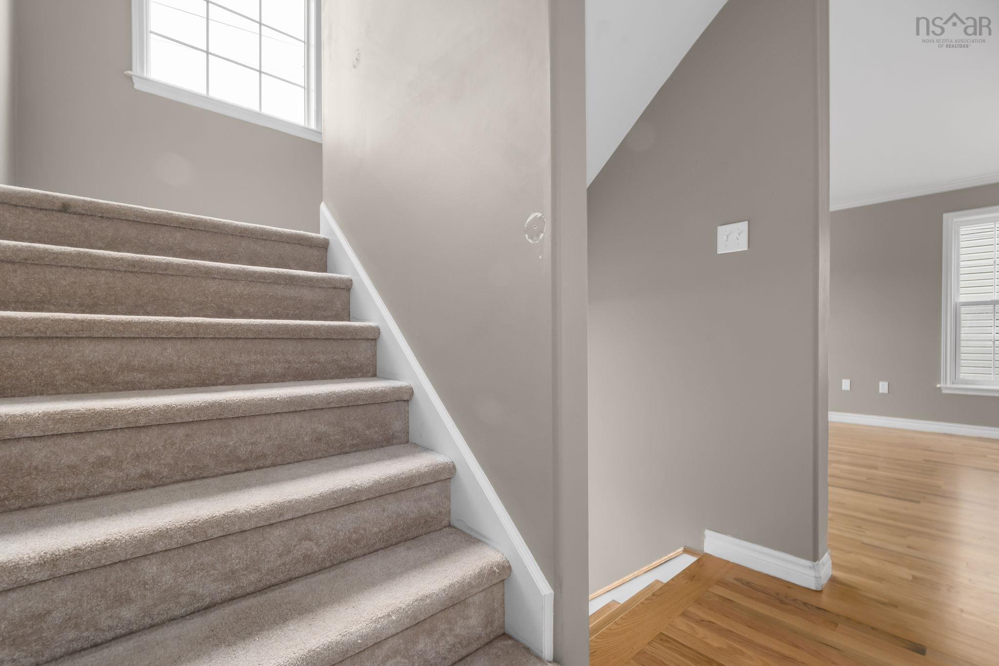 View image 3