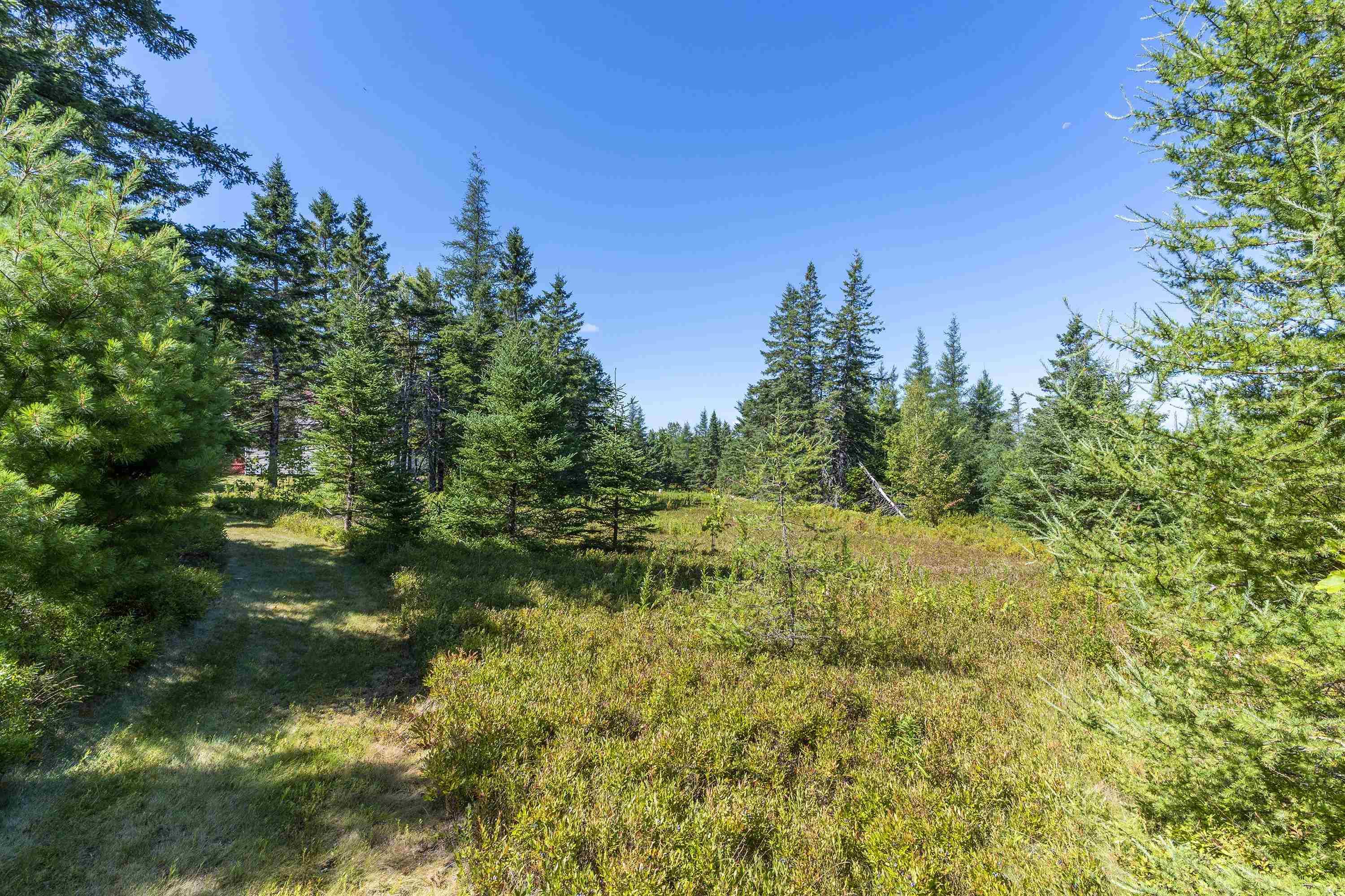 View image 36