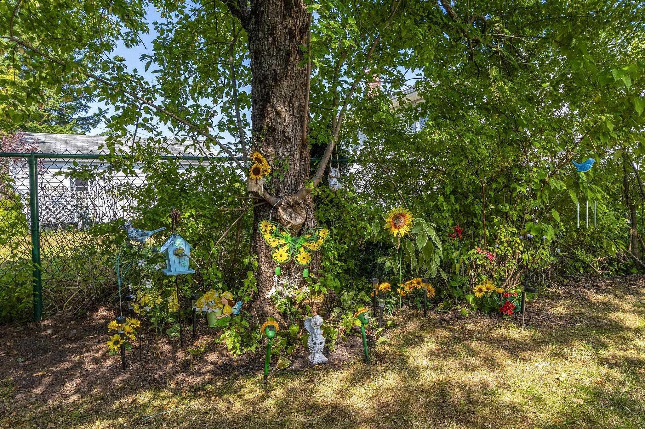 View image 39