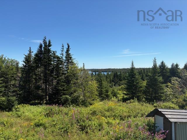 View image 15