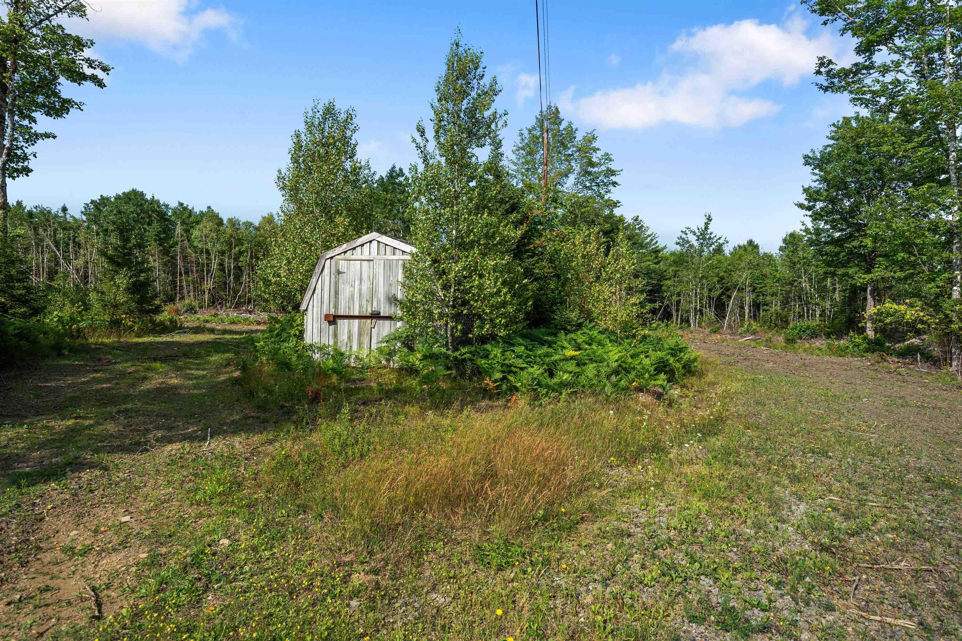 View image 41
