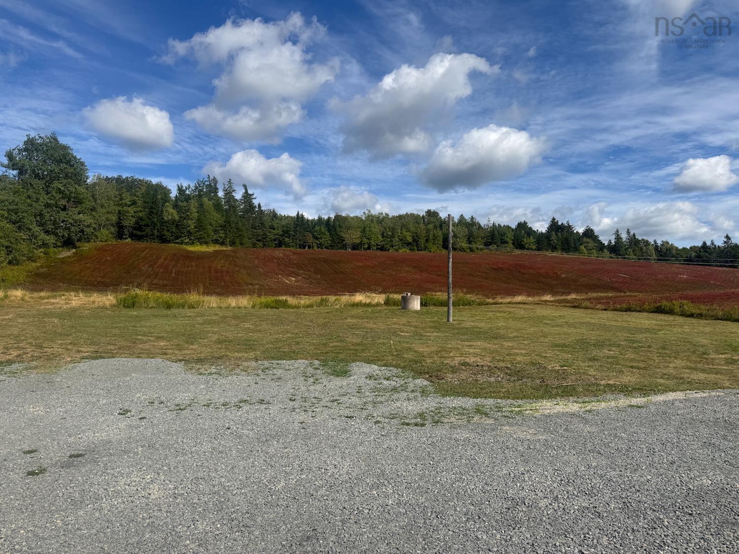 View image 37
