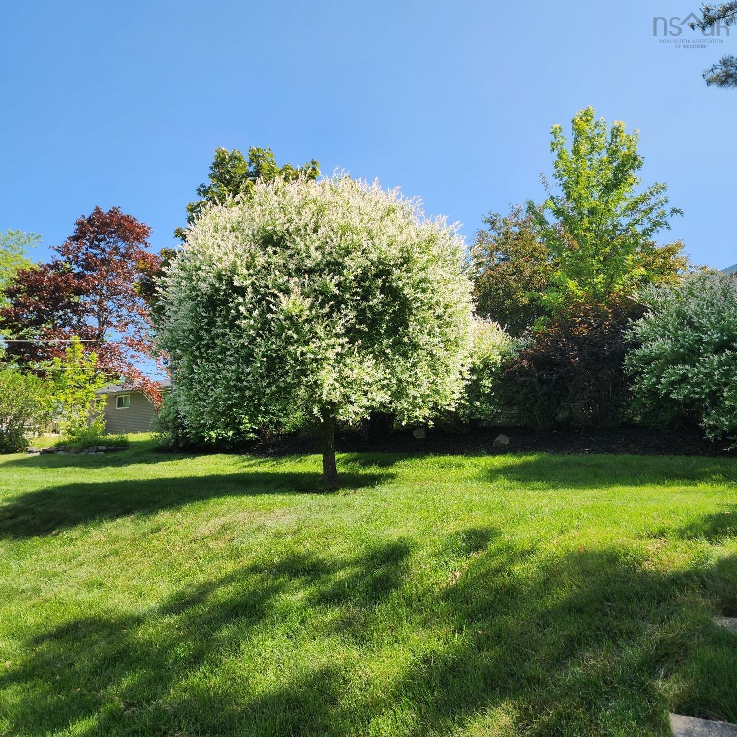 View image 48