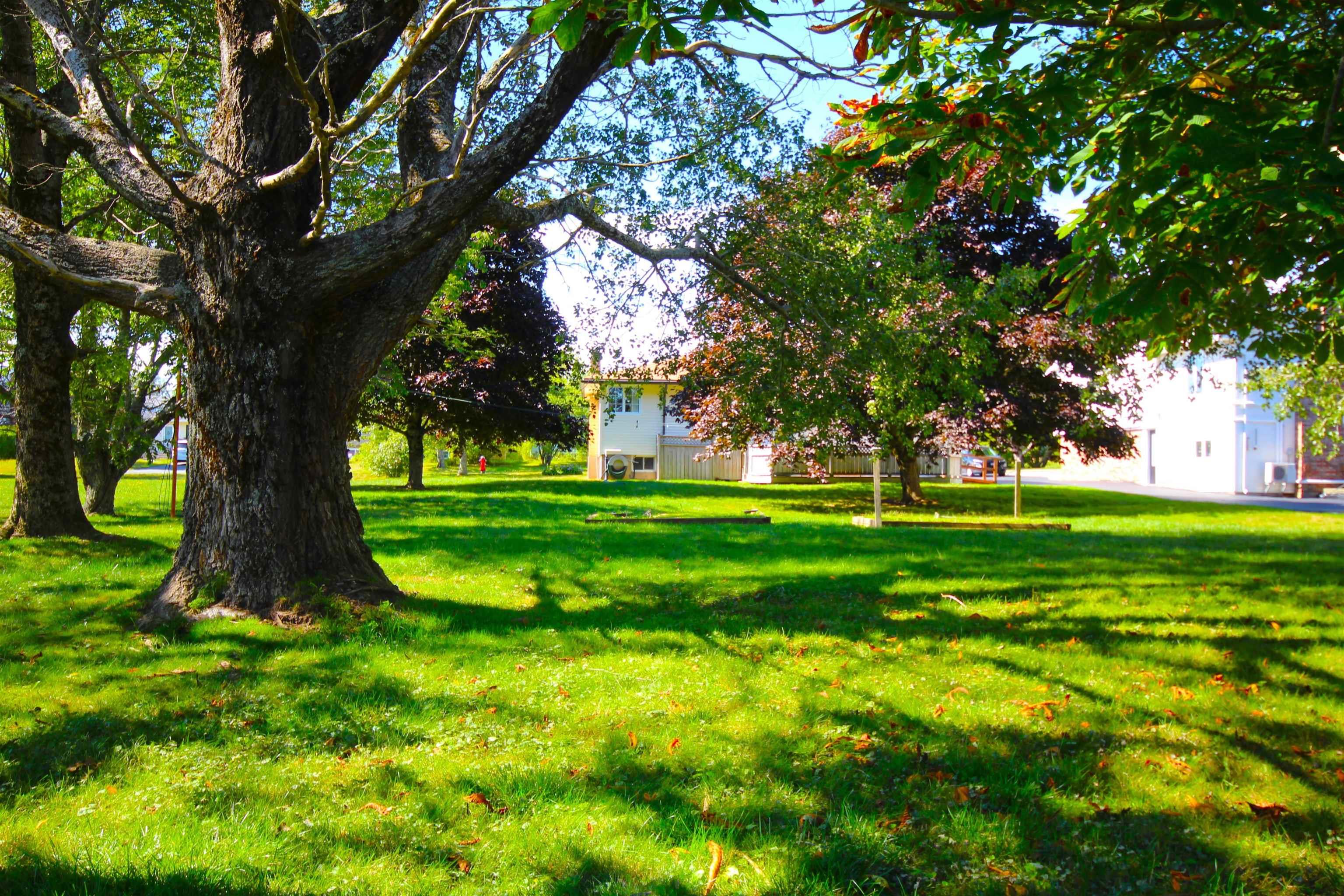 View image 50