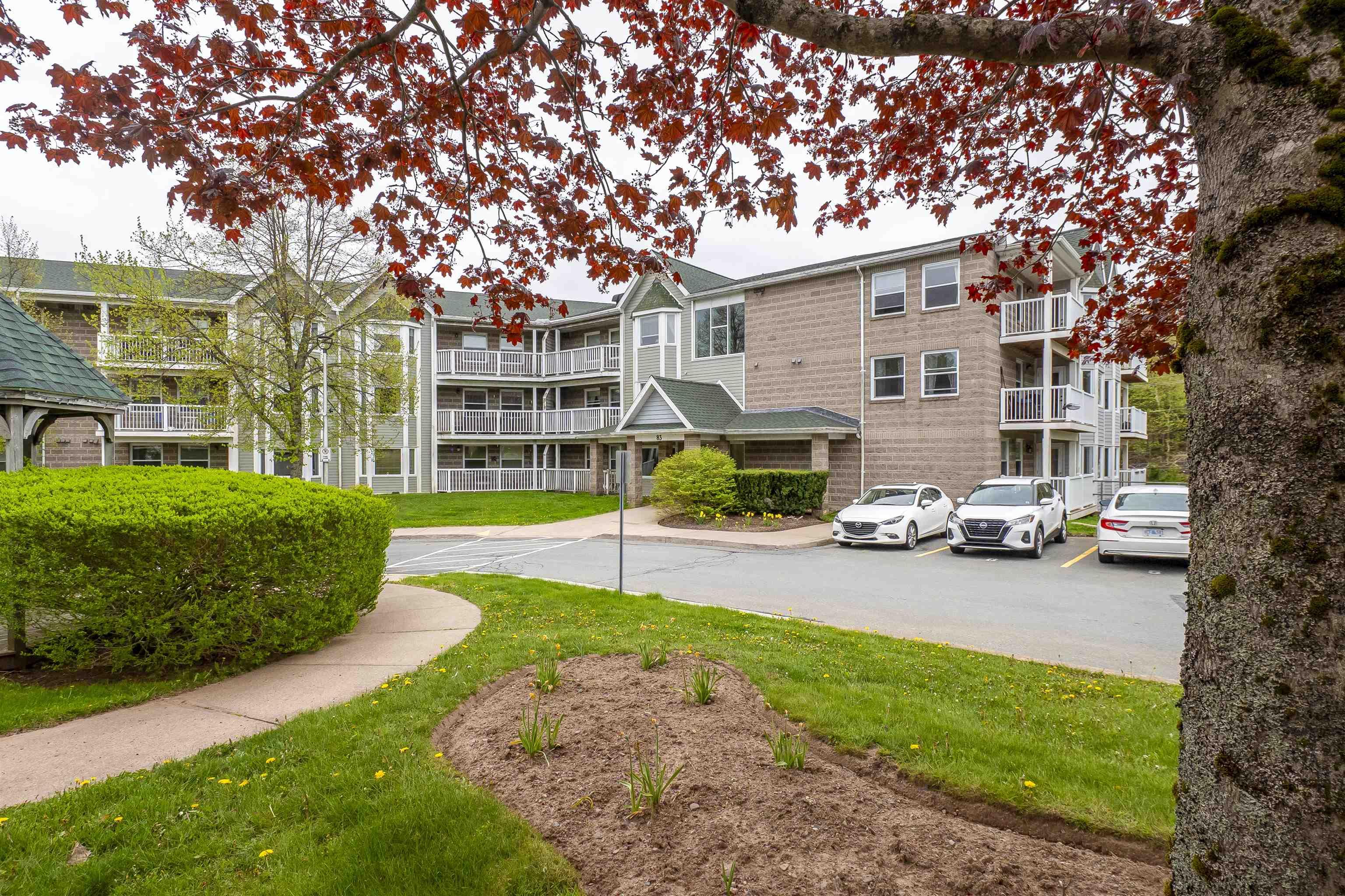 View image 11