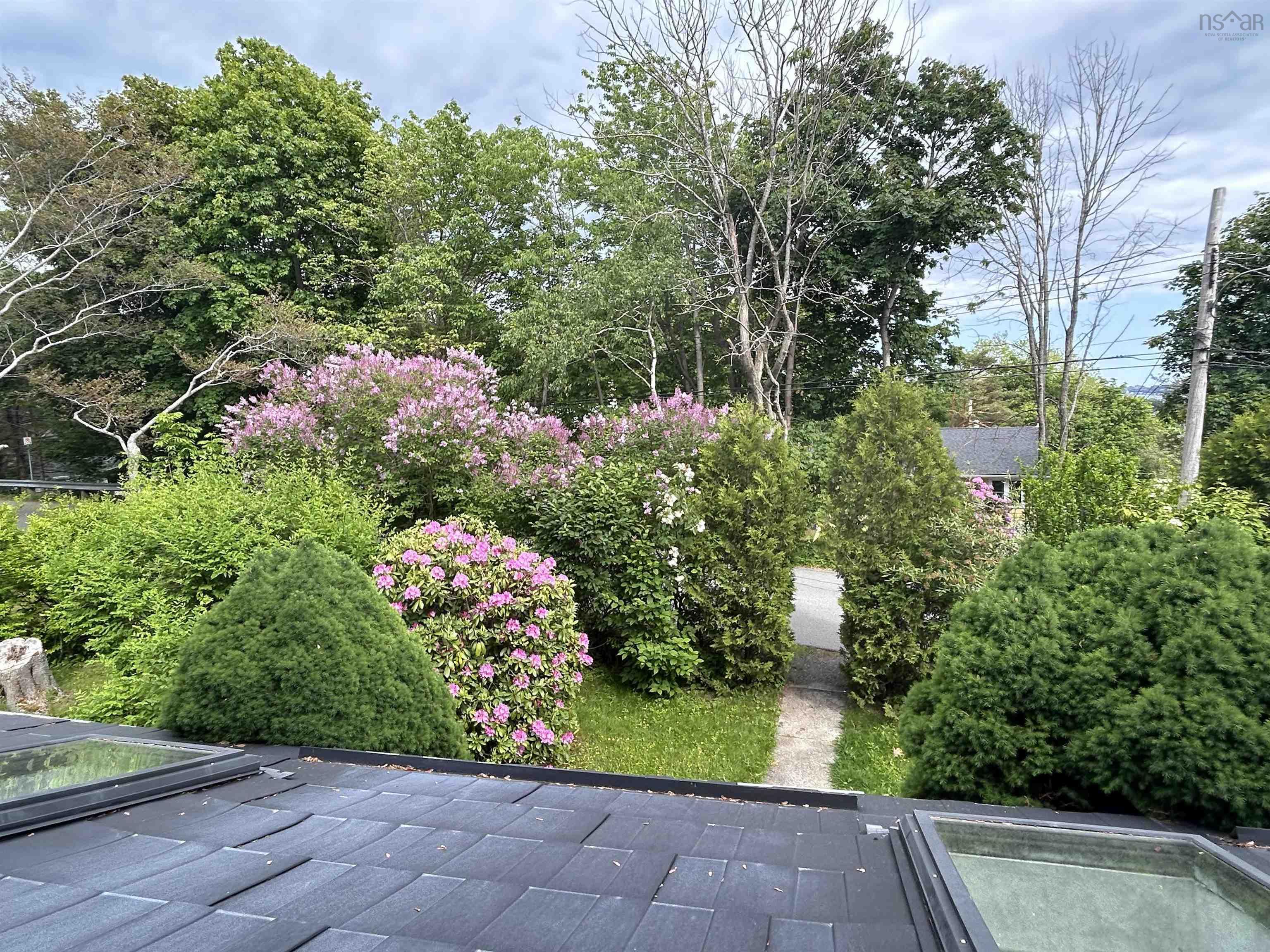 View image 38