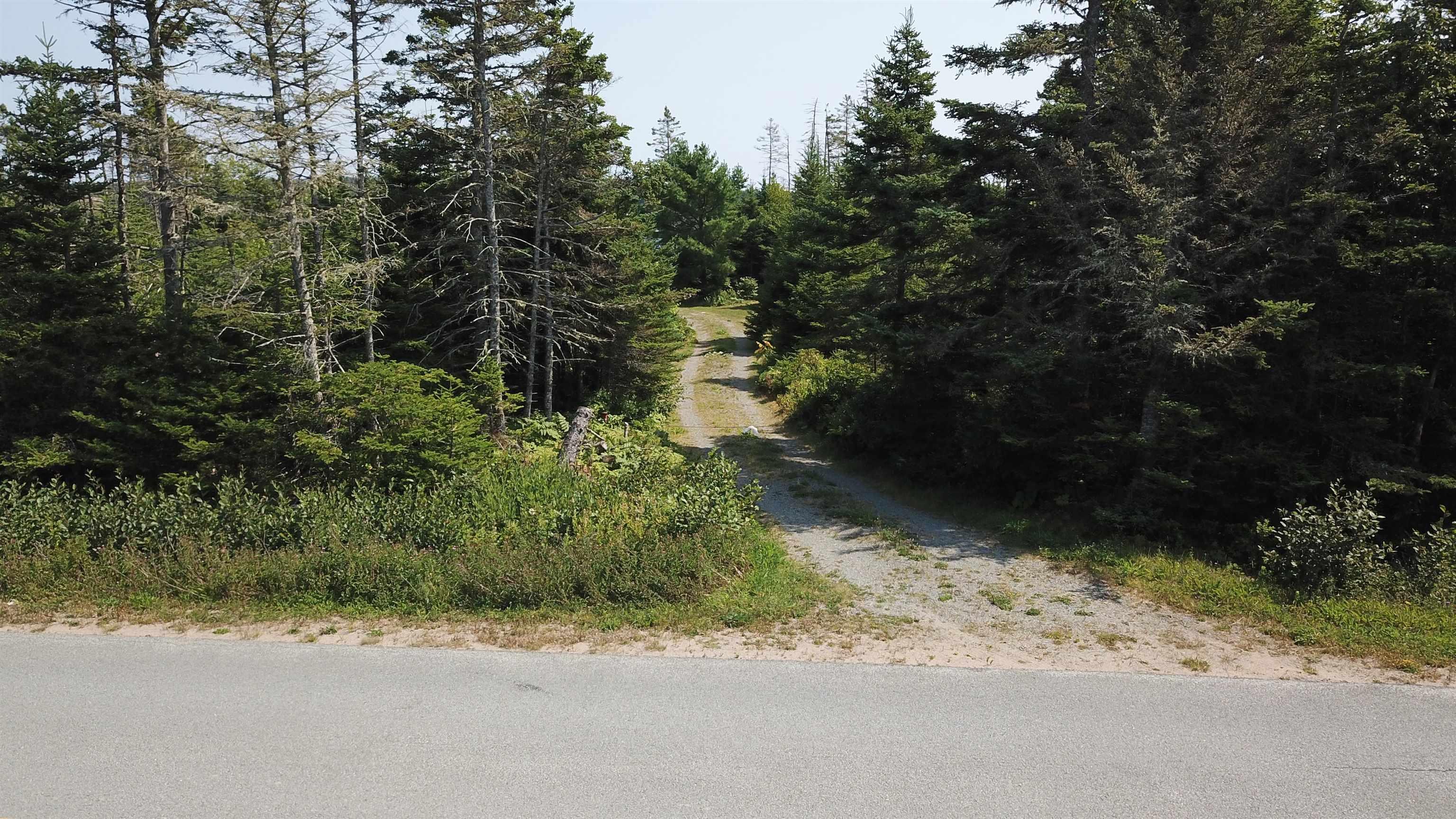 View image 41