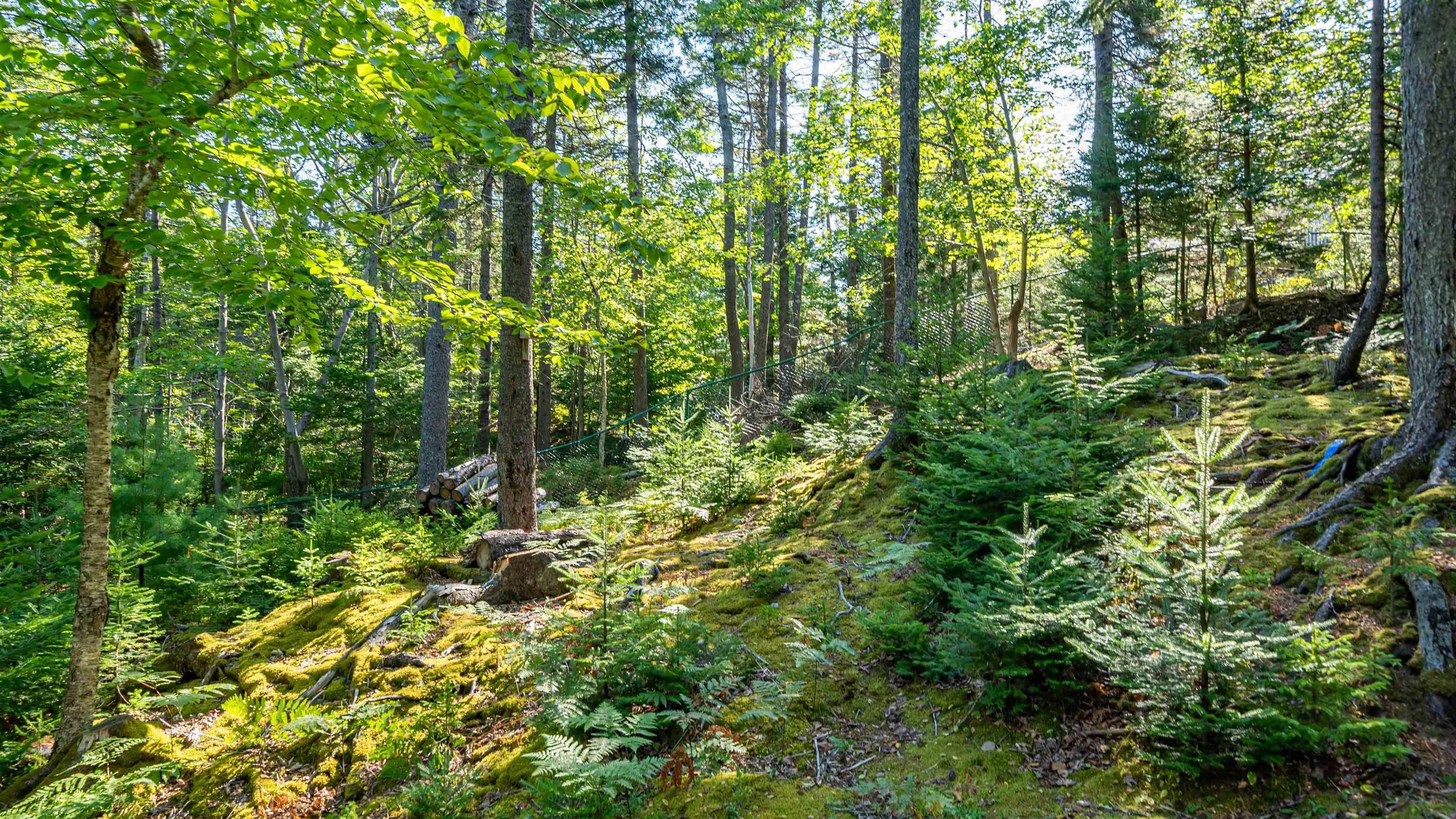 View image 41