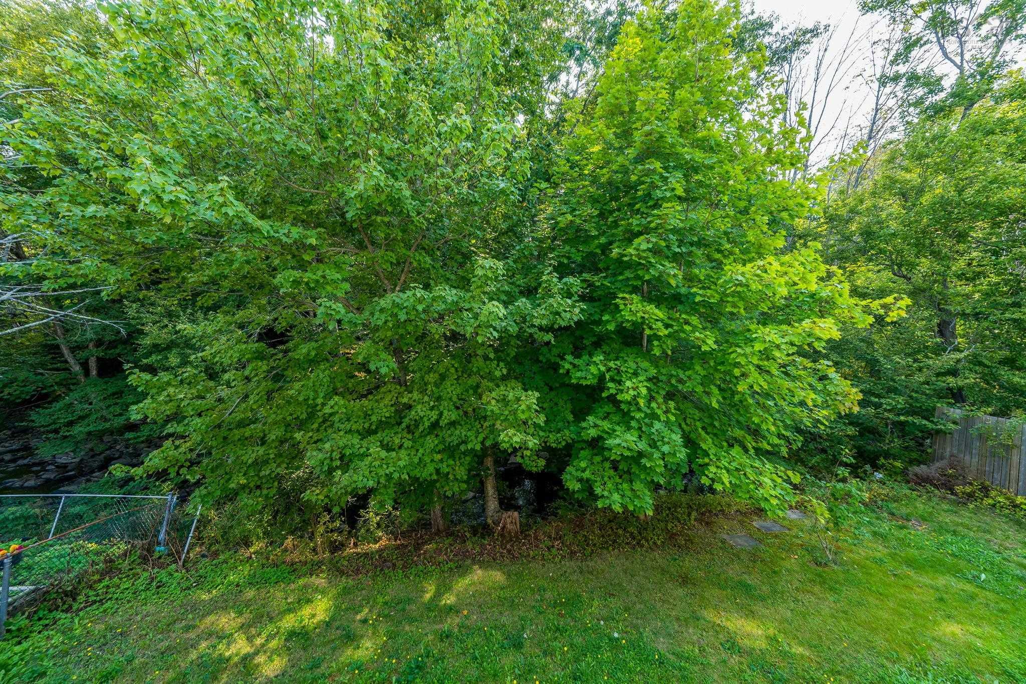 View image 23