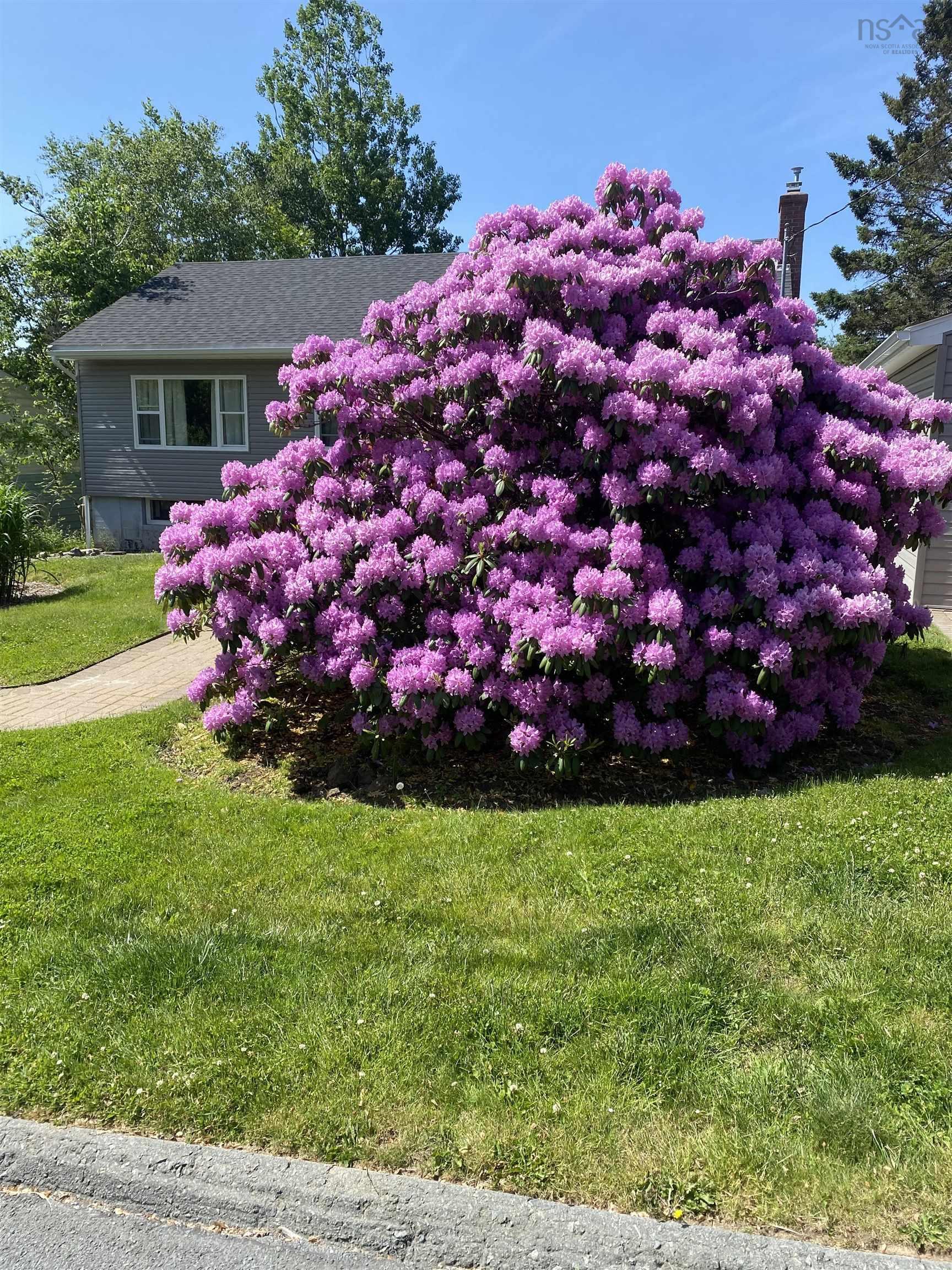 View image 21