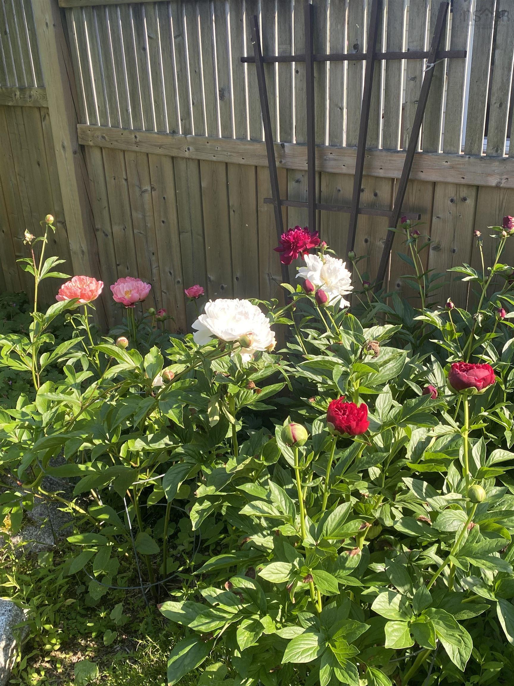 View image 23