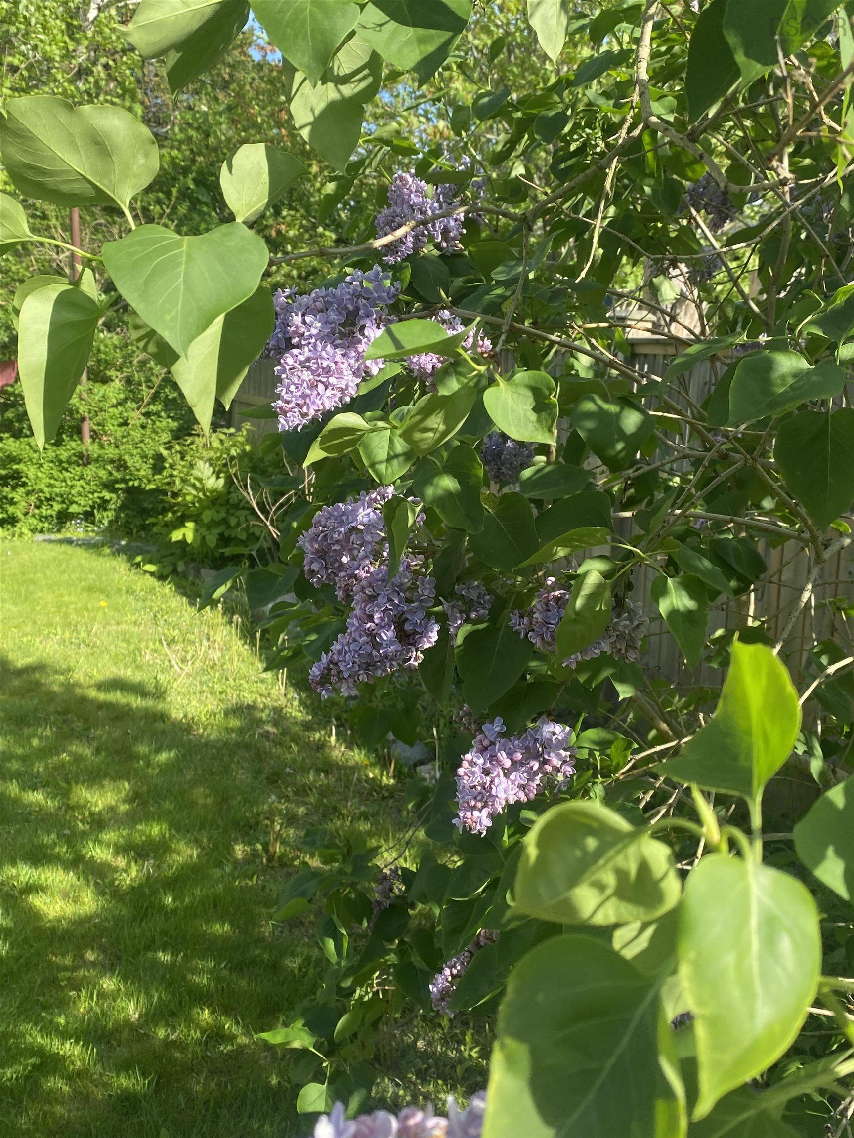 View image 24
