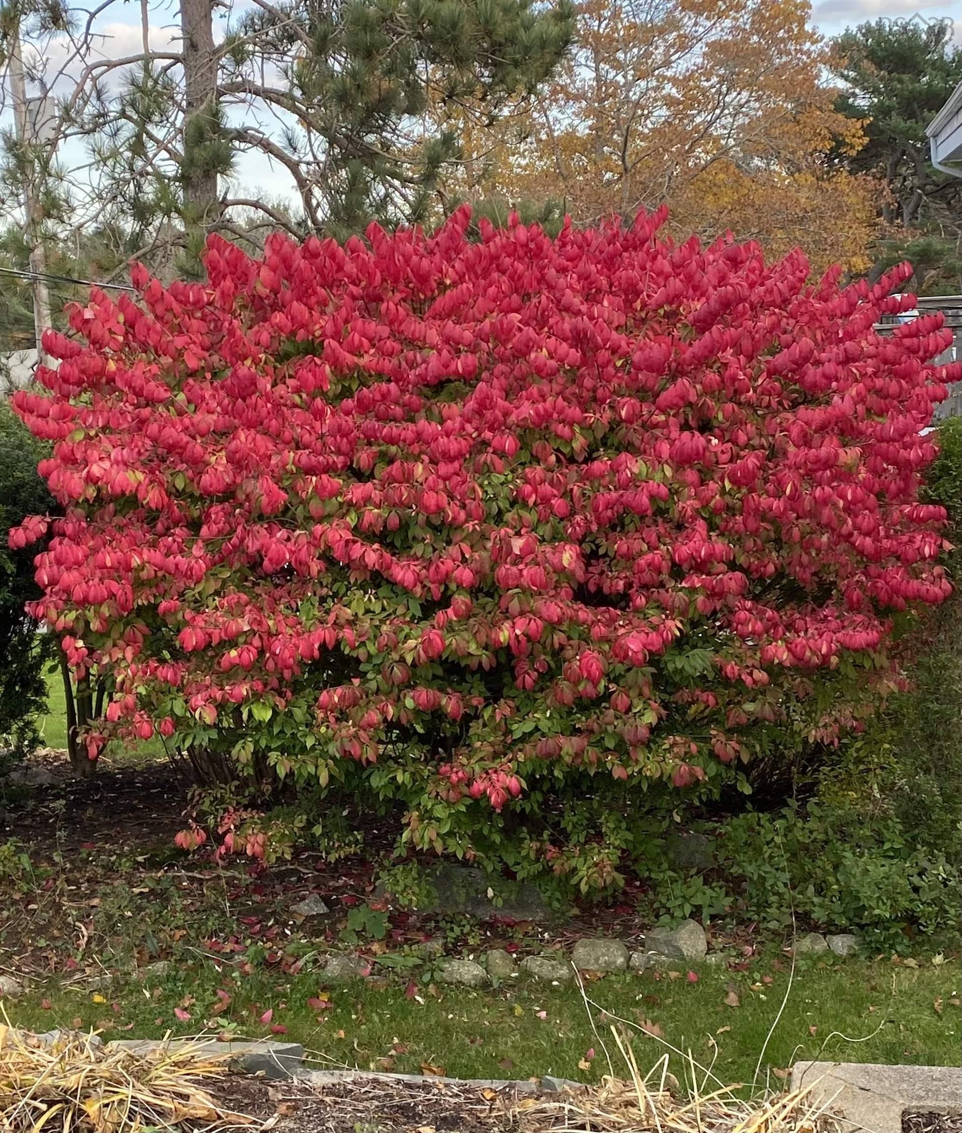 View image 26