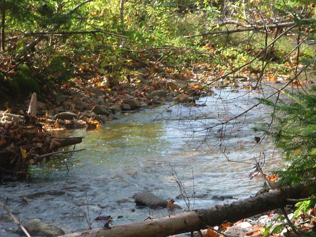 View image 6