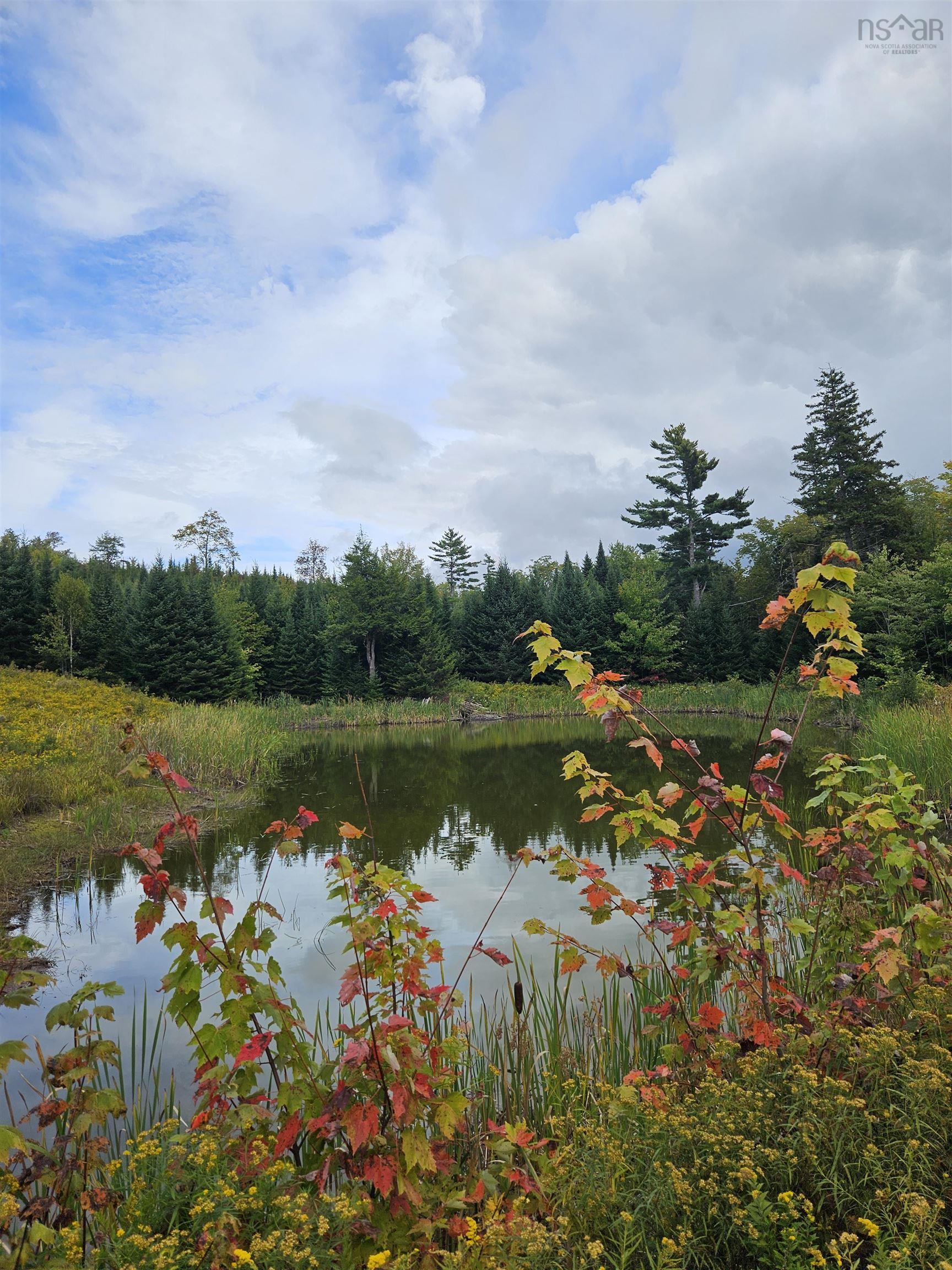 View image 10
