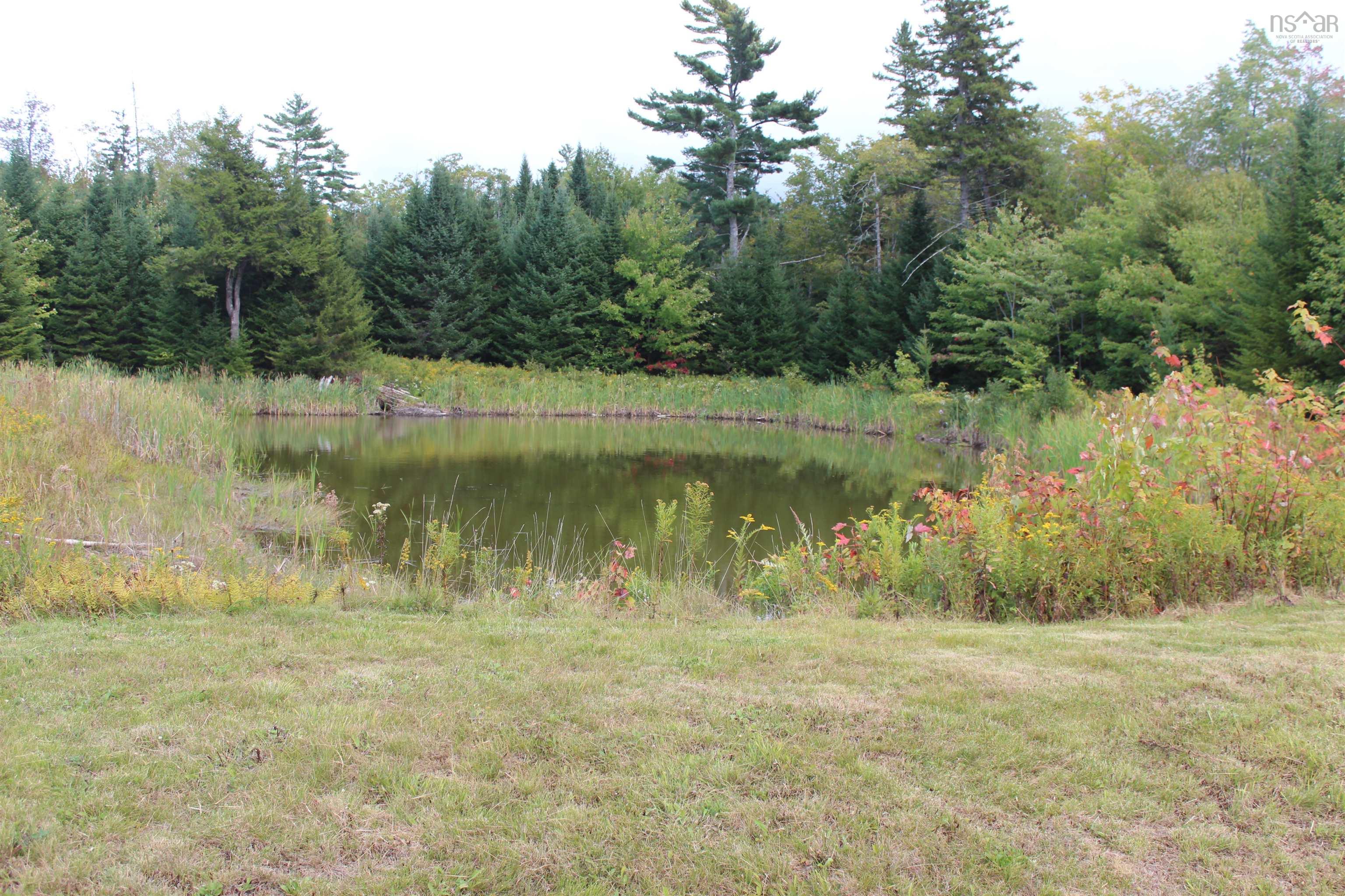 View image 17
