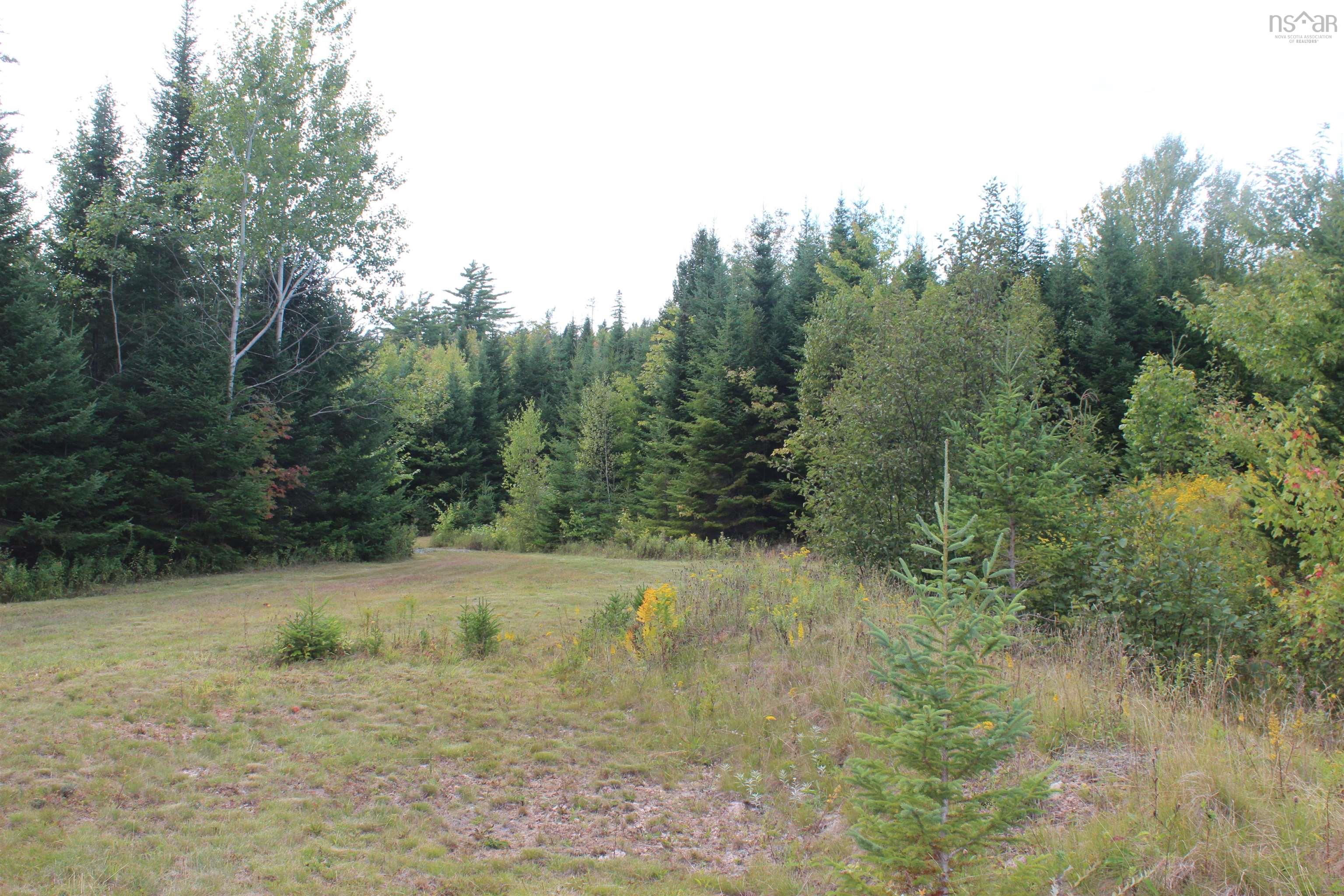 View image 18