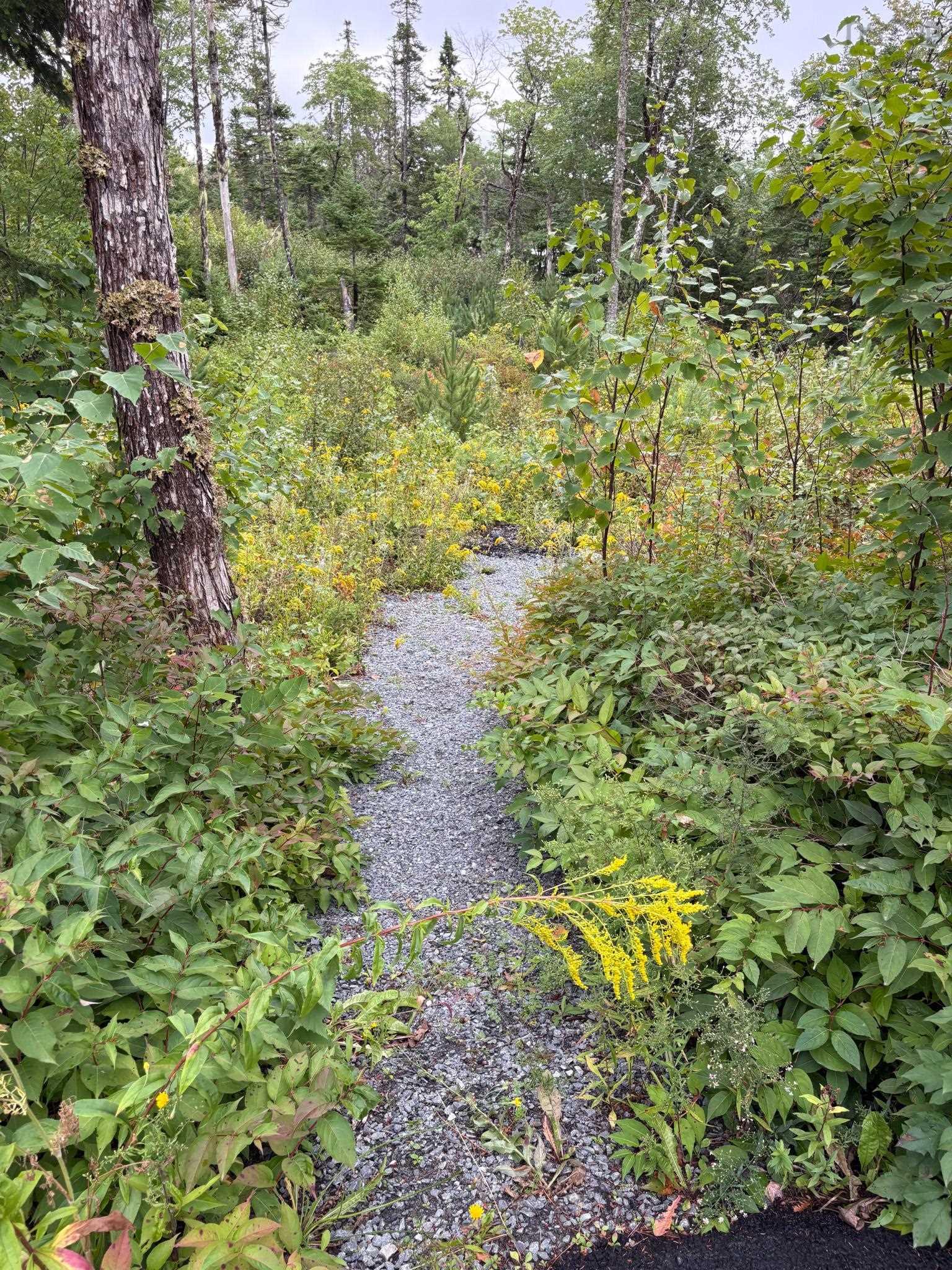 View image 27