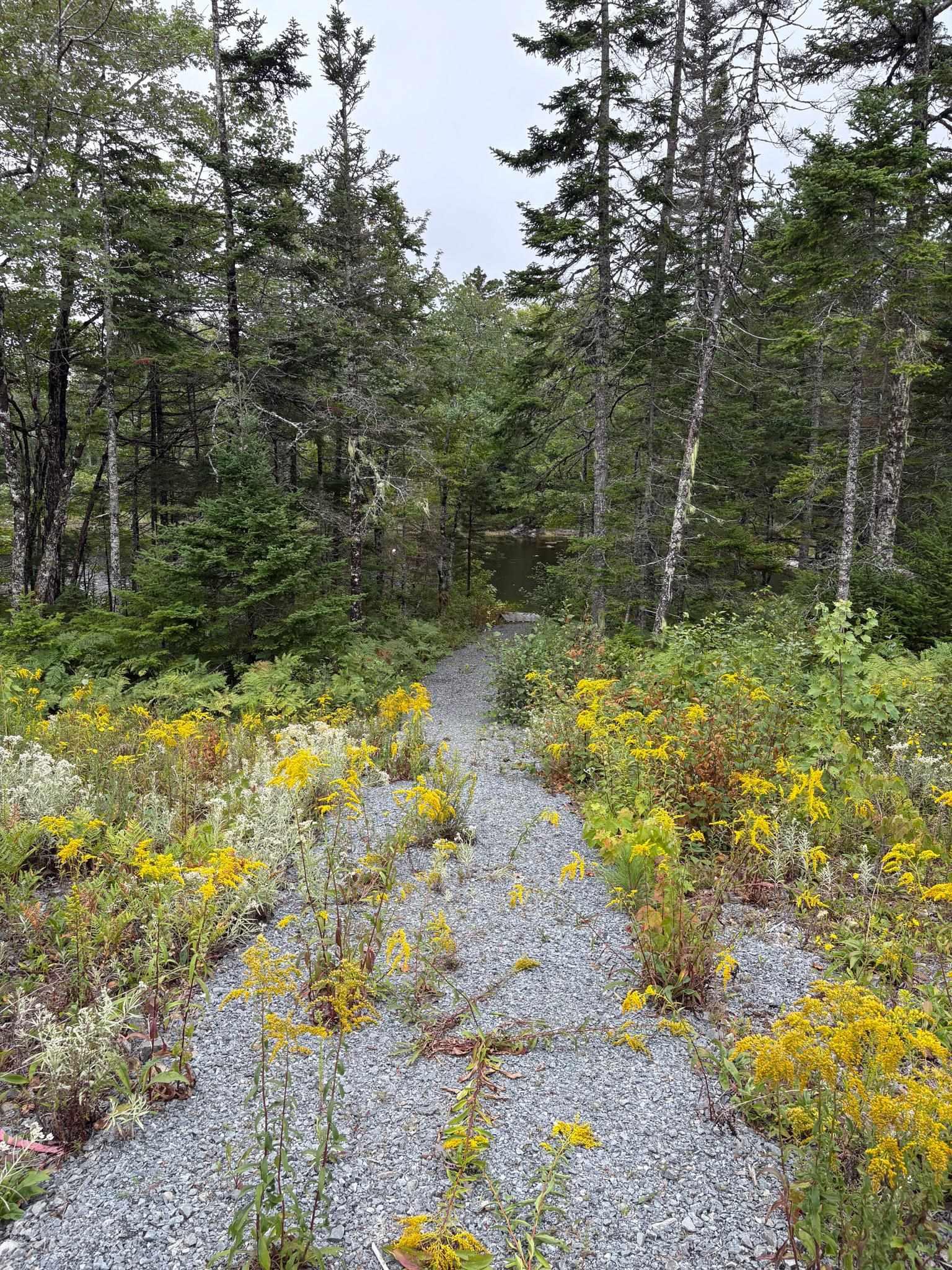 View image 28