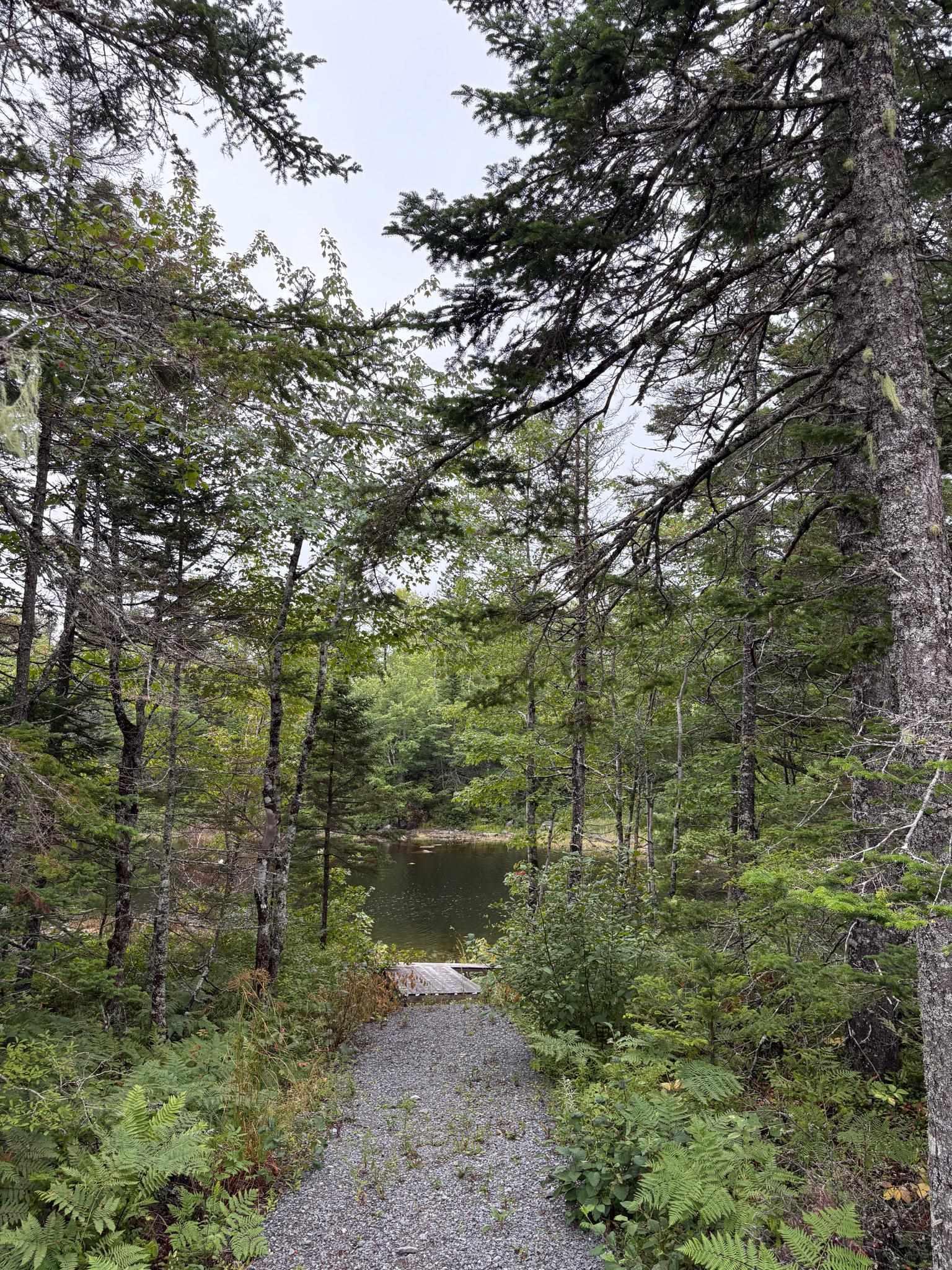 View image 29