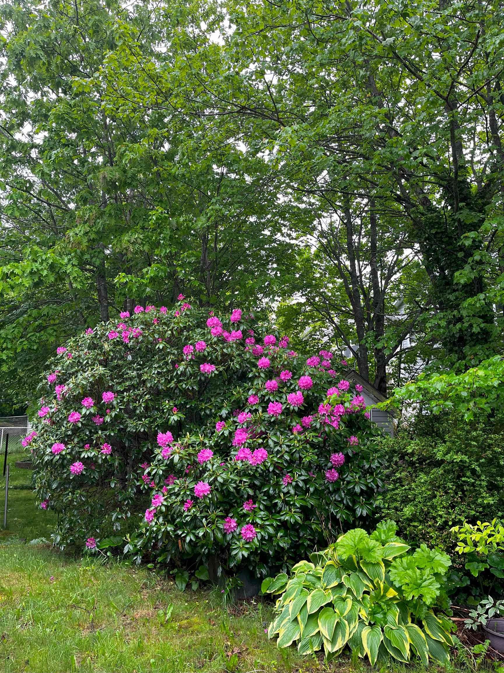 View image 30