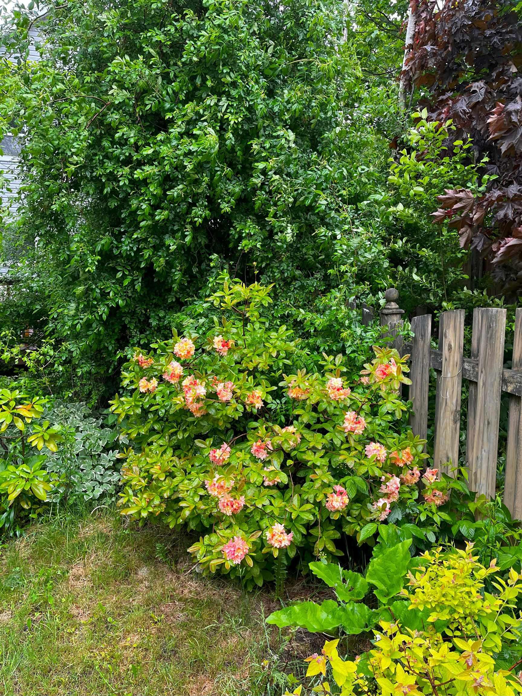 View image 31
