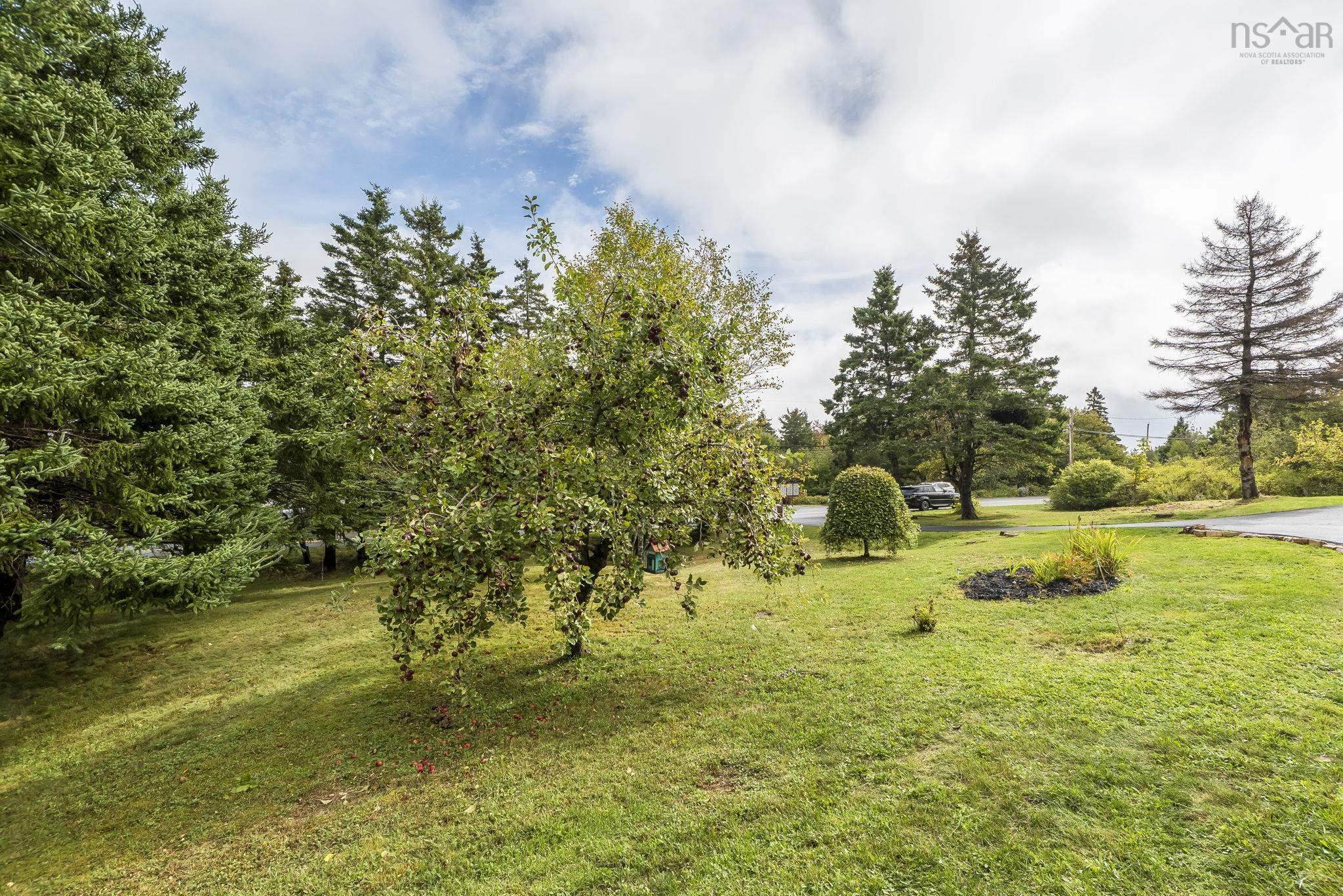 View image 38