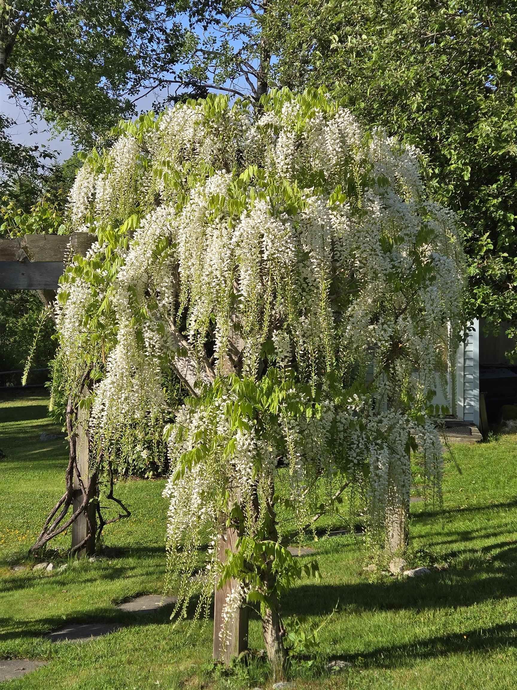View image 28