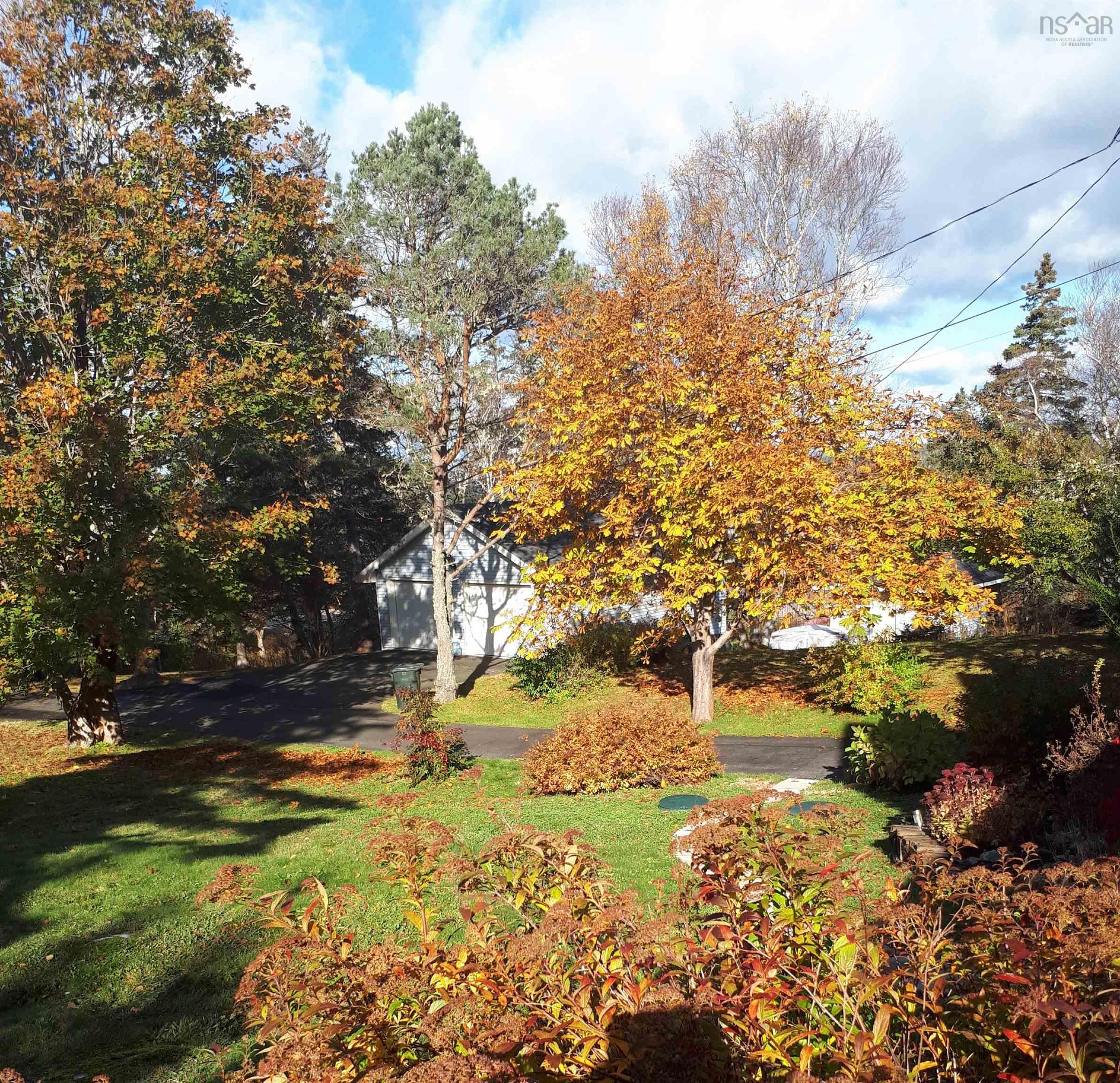 View image 30
