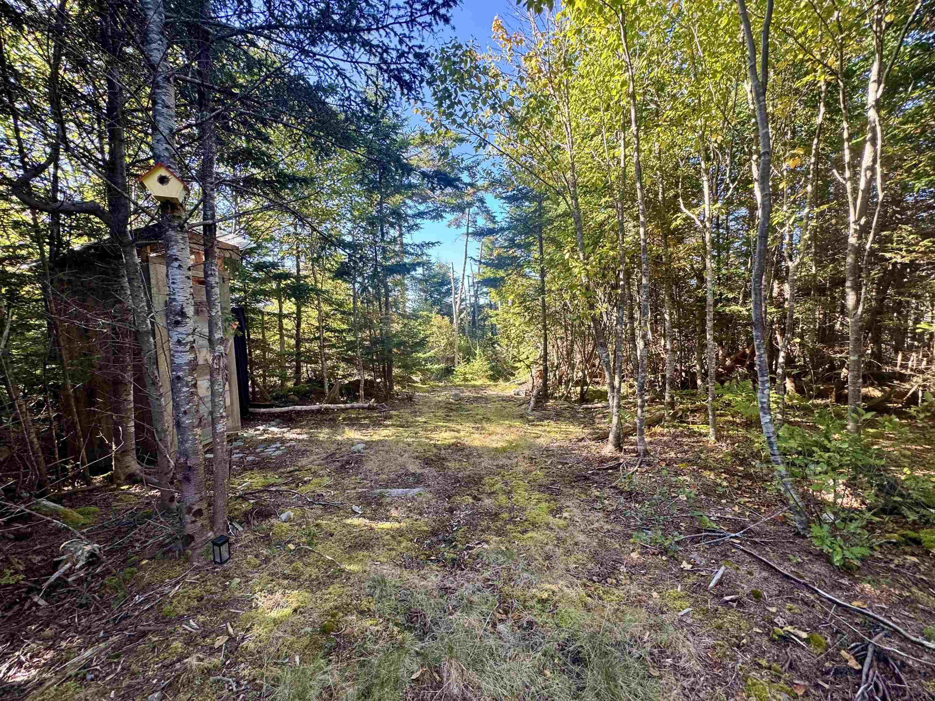 View image 18