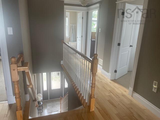 View image 17