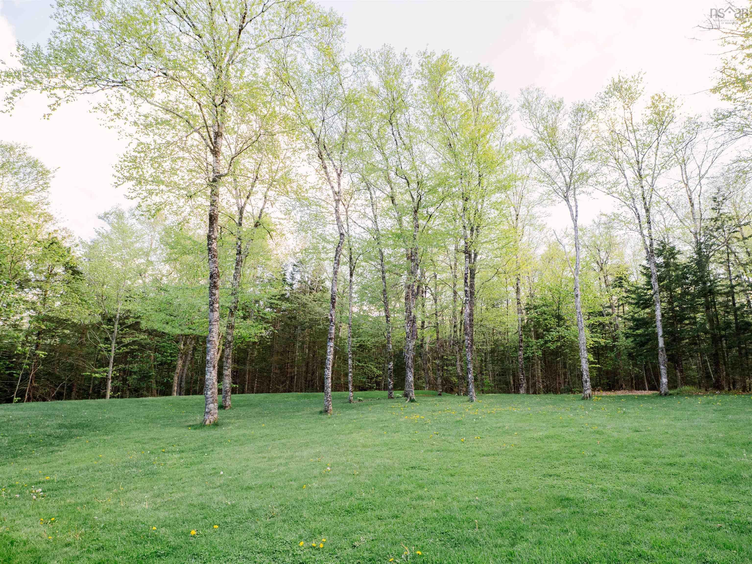 View image 37