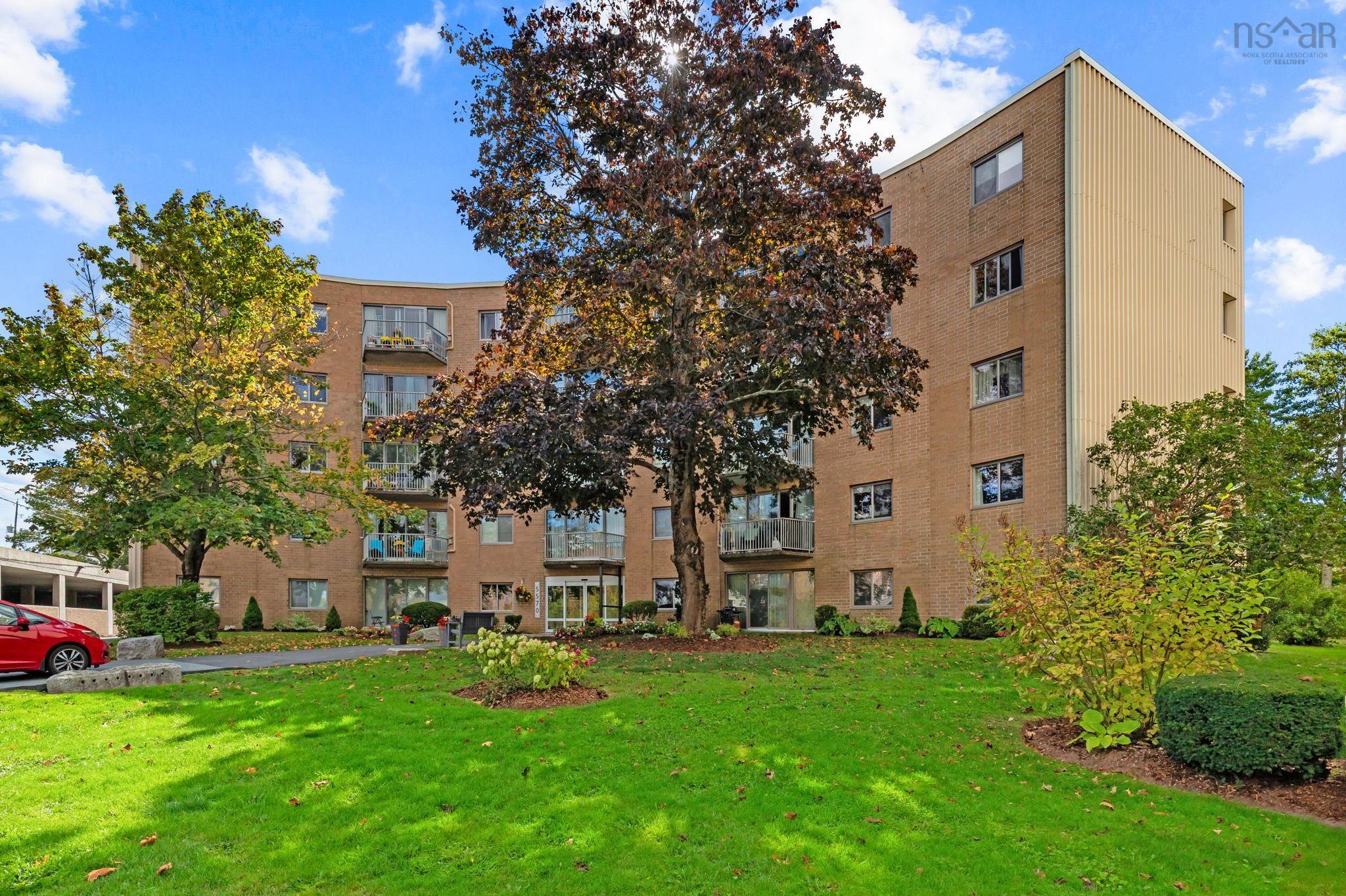 View image 11